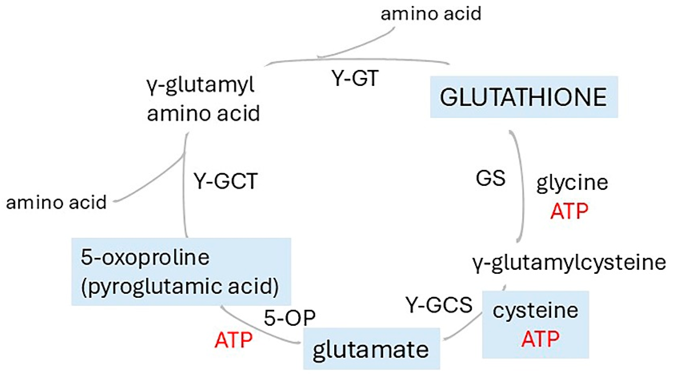 Preprints 164849 g008
