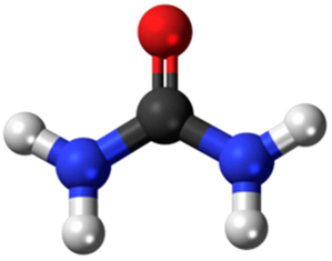 Preprints 172096 i002