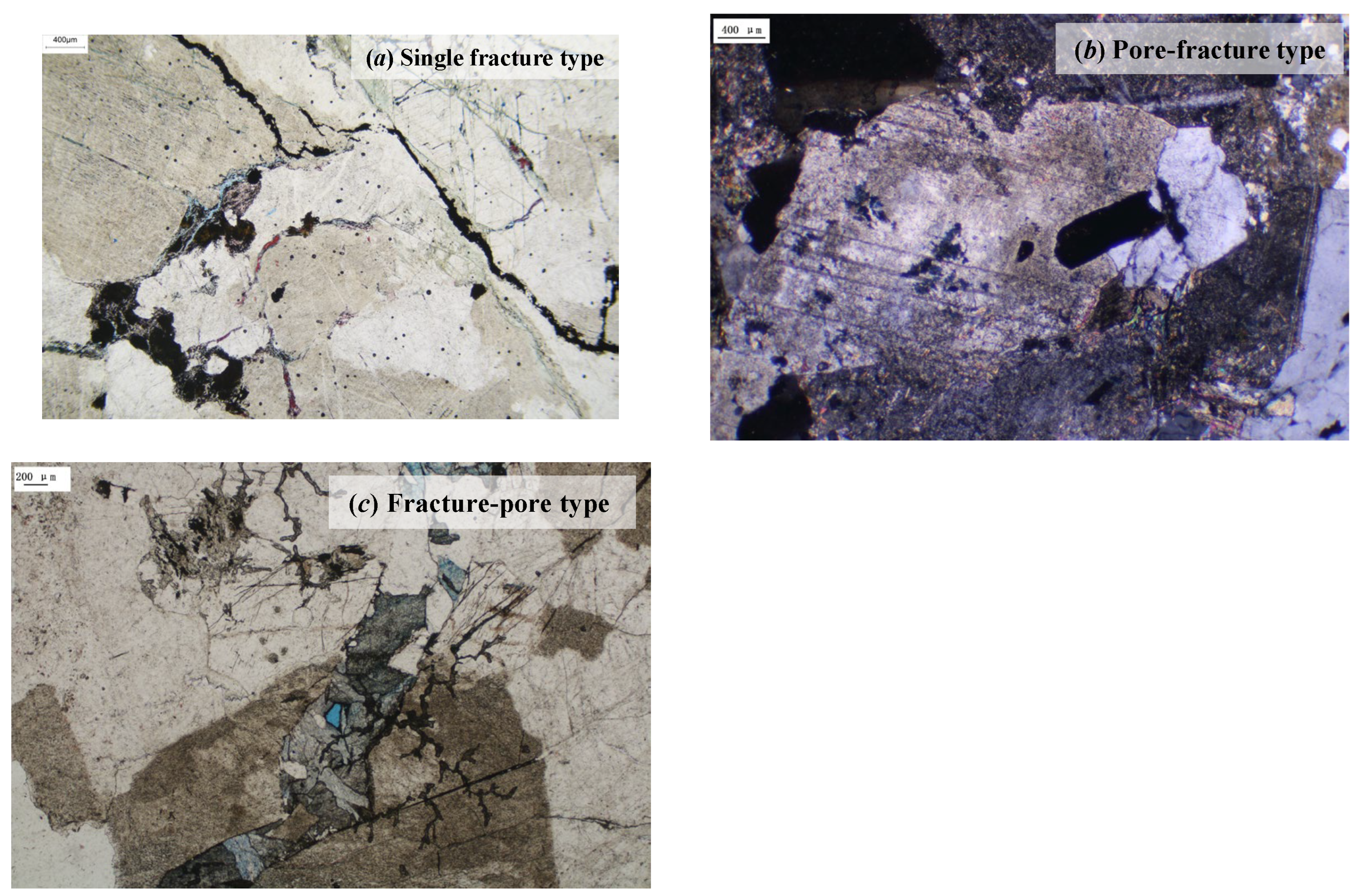 Preprints 198350 g004