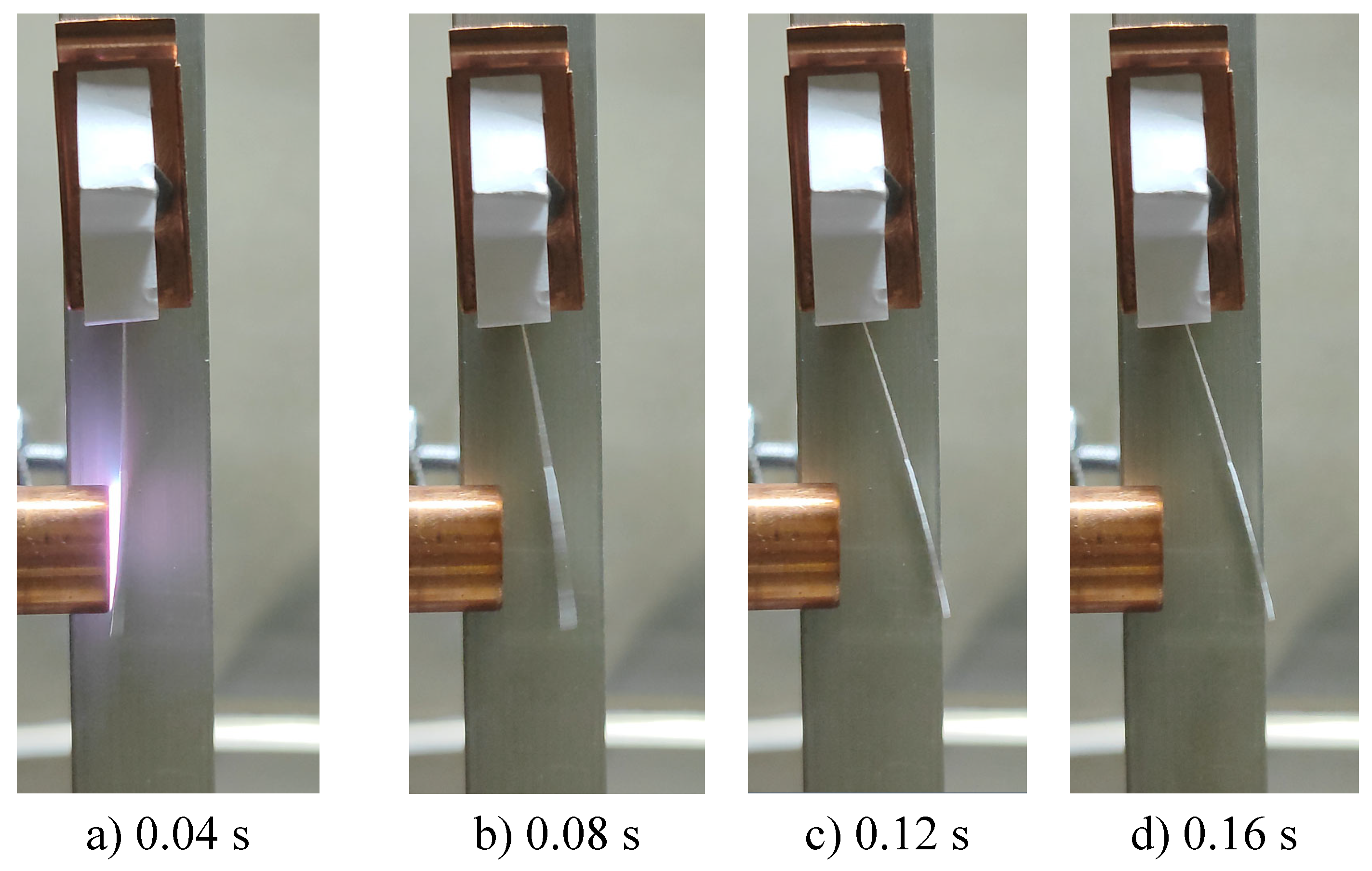 Preprints 172893 g011