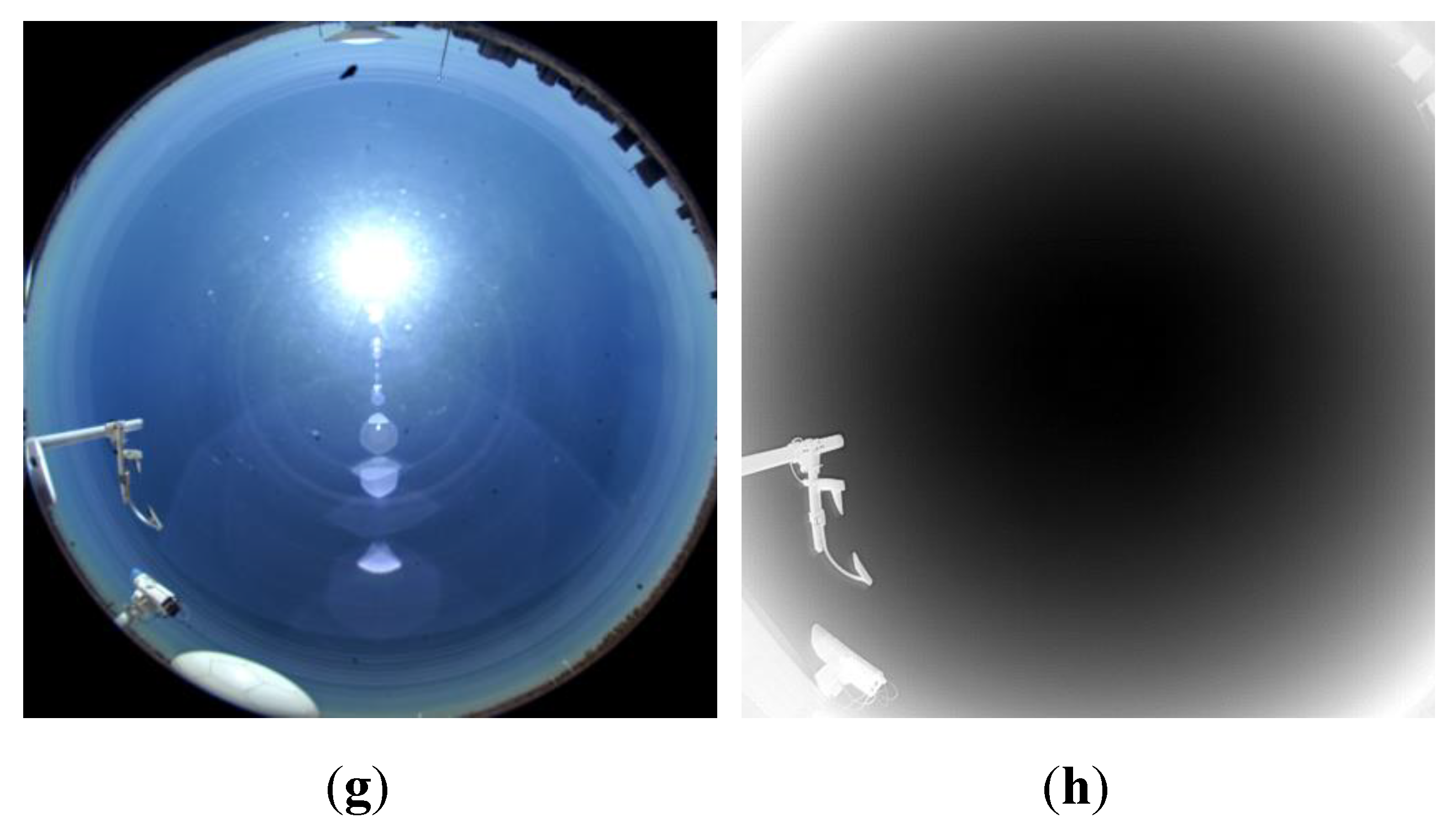 Preprints 141019 g014b