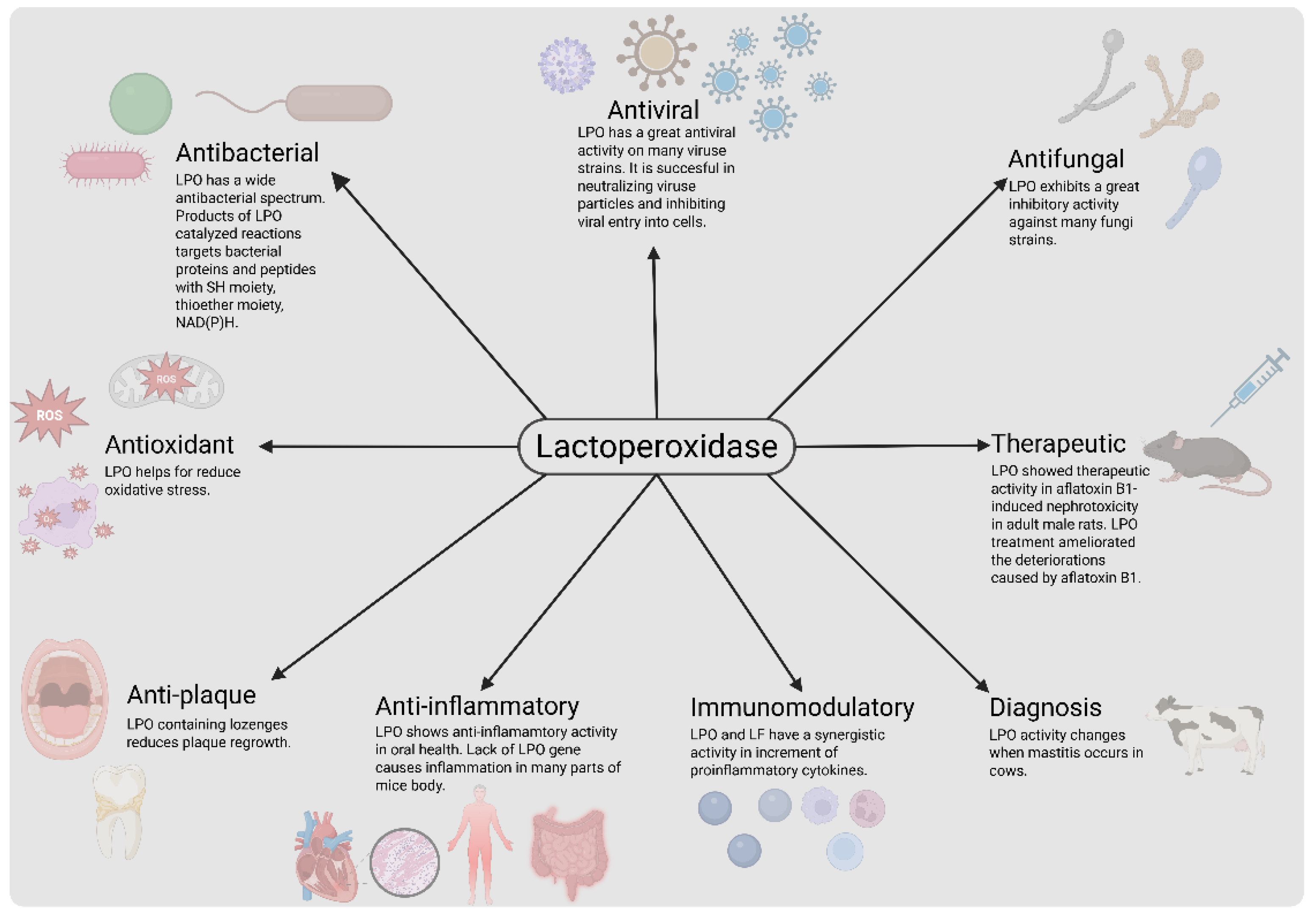 Preprints 158059 g001