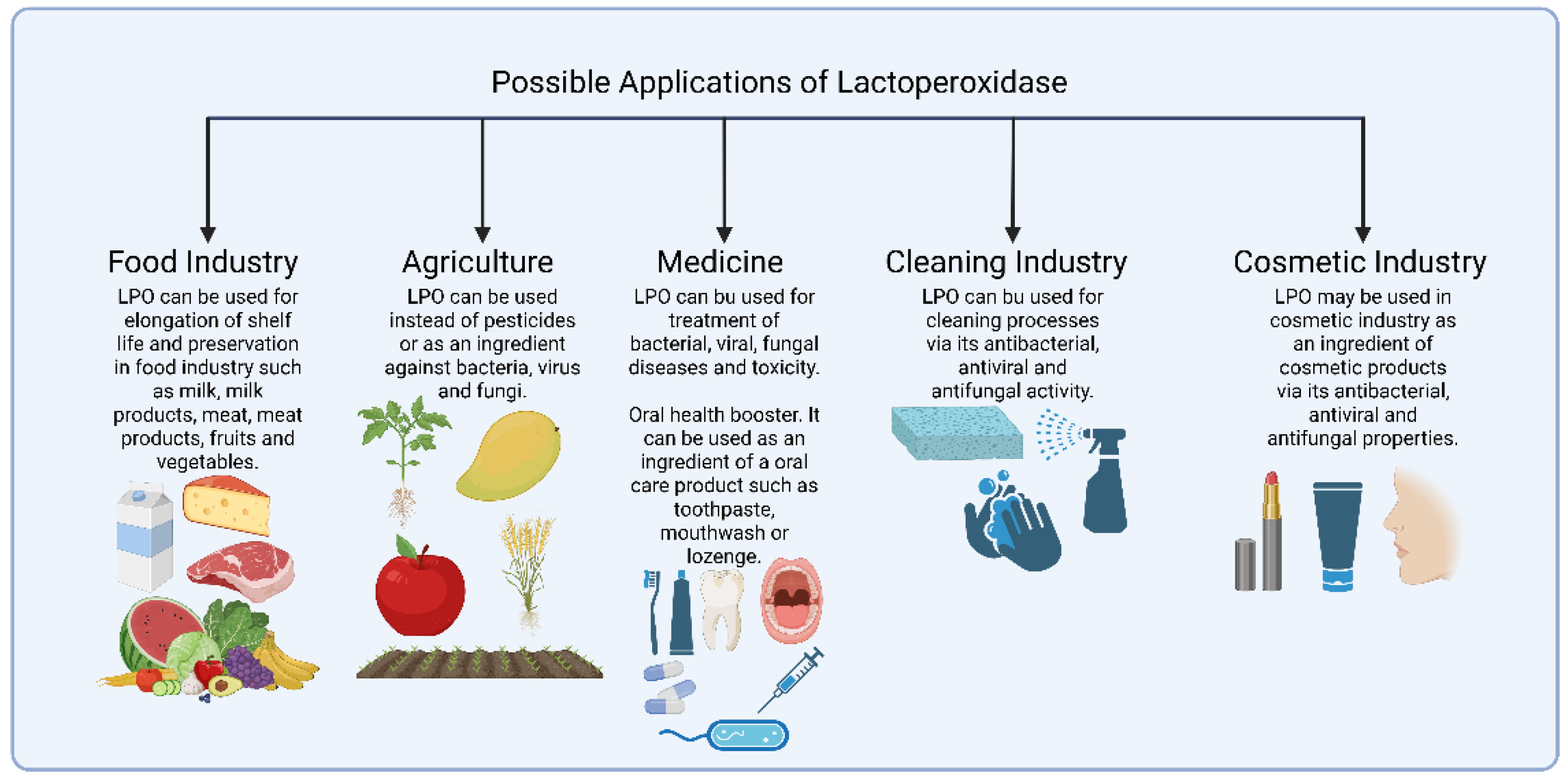 Preprints 158059 g003
