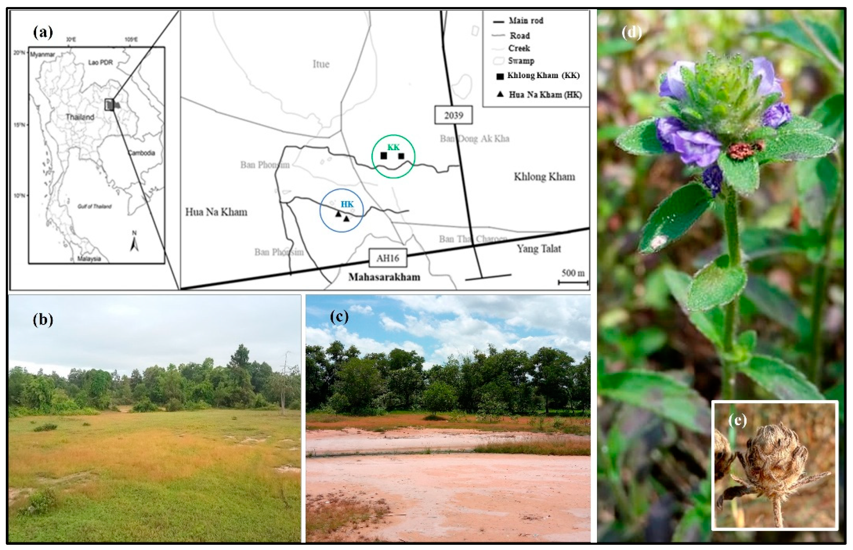 Preprints 150286 g001