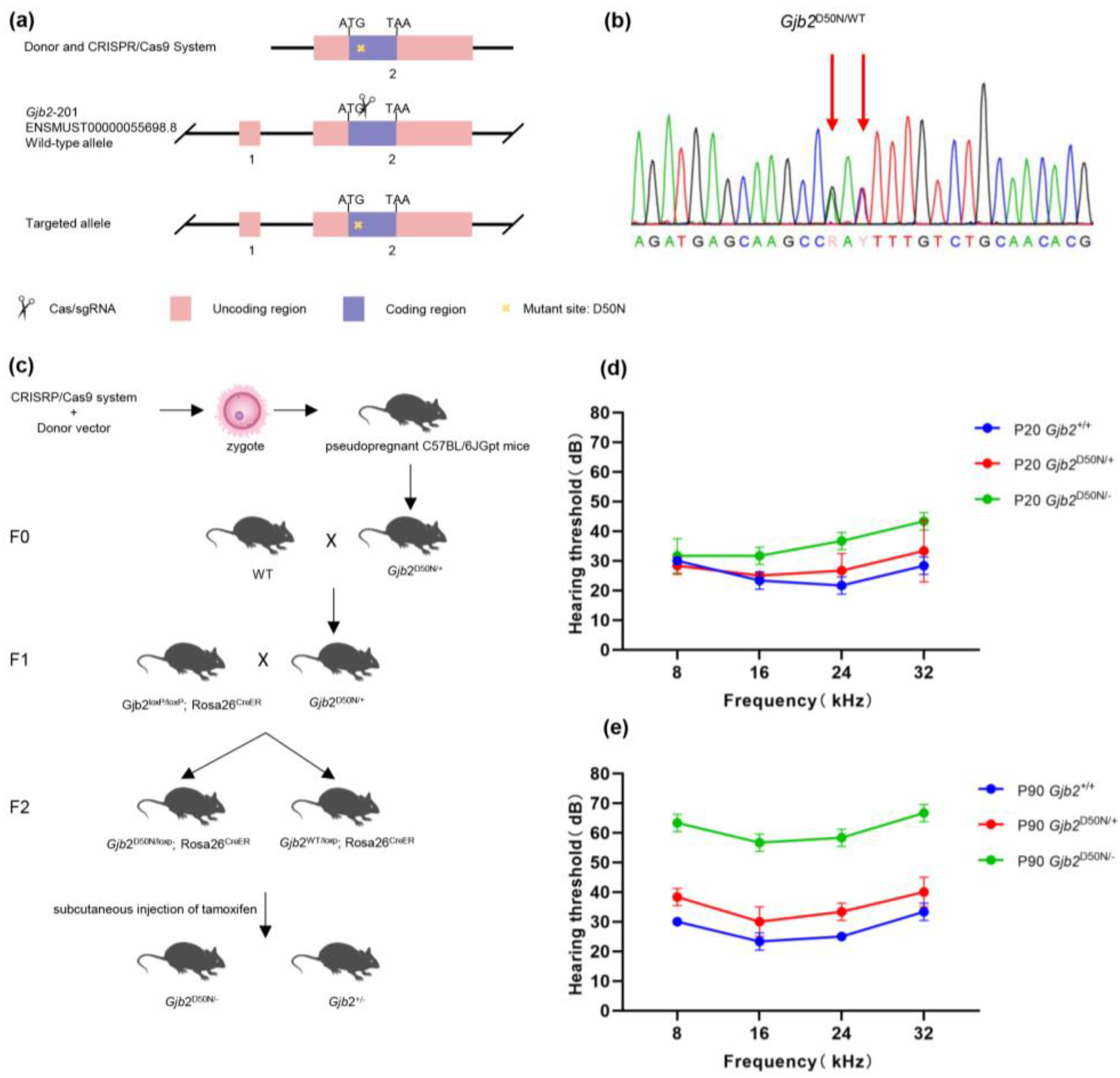 Preprints 140848 g001