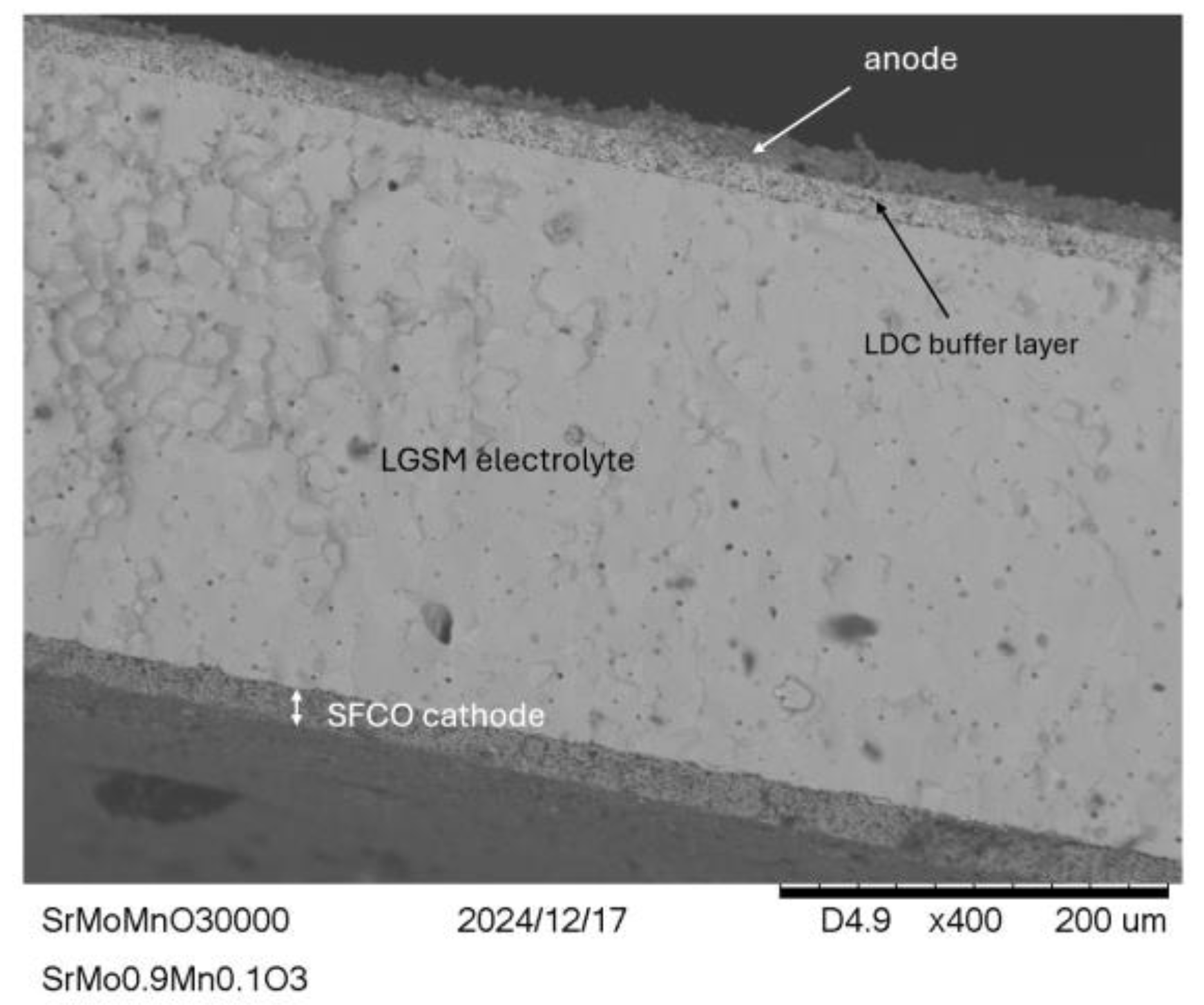 Preprints 143994 g011