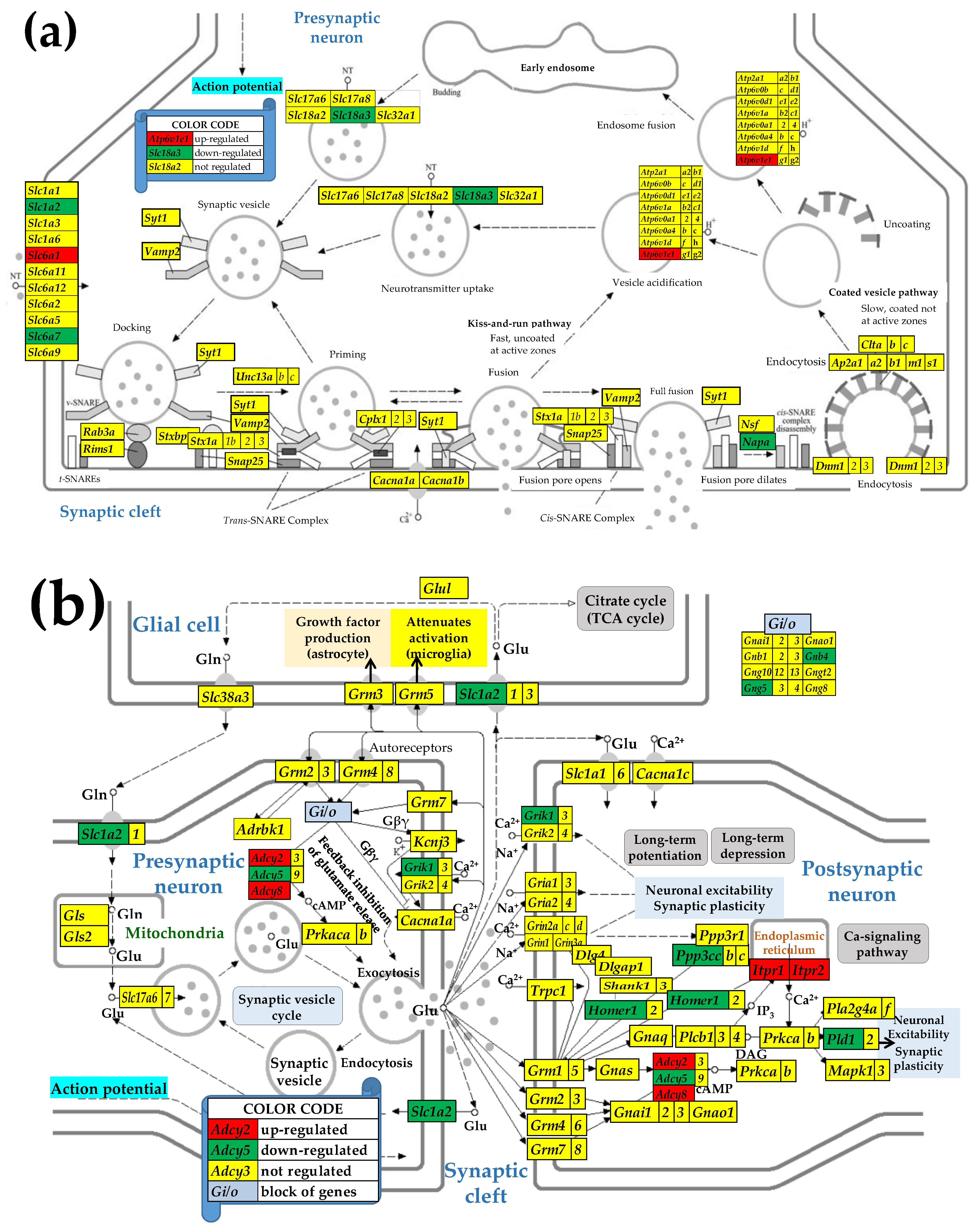 Preprints 153631 g002a