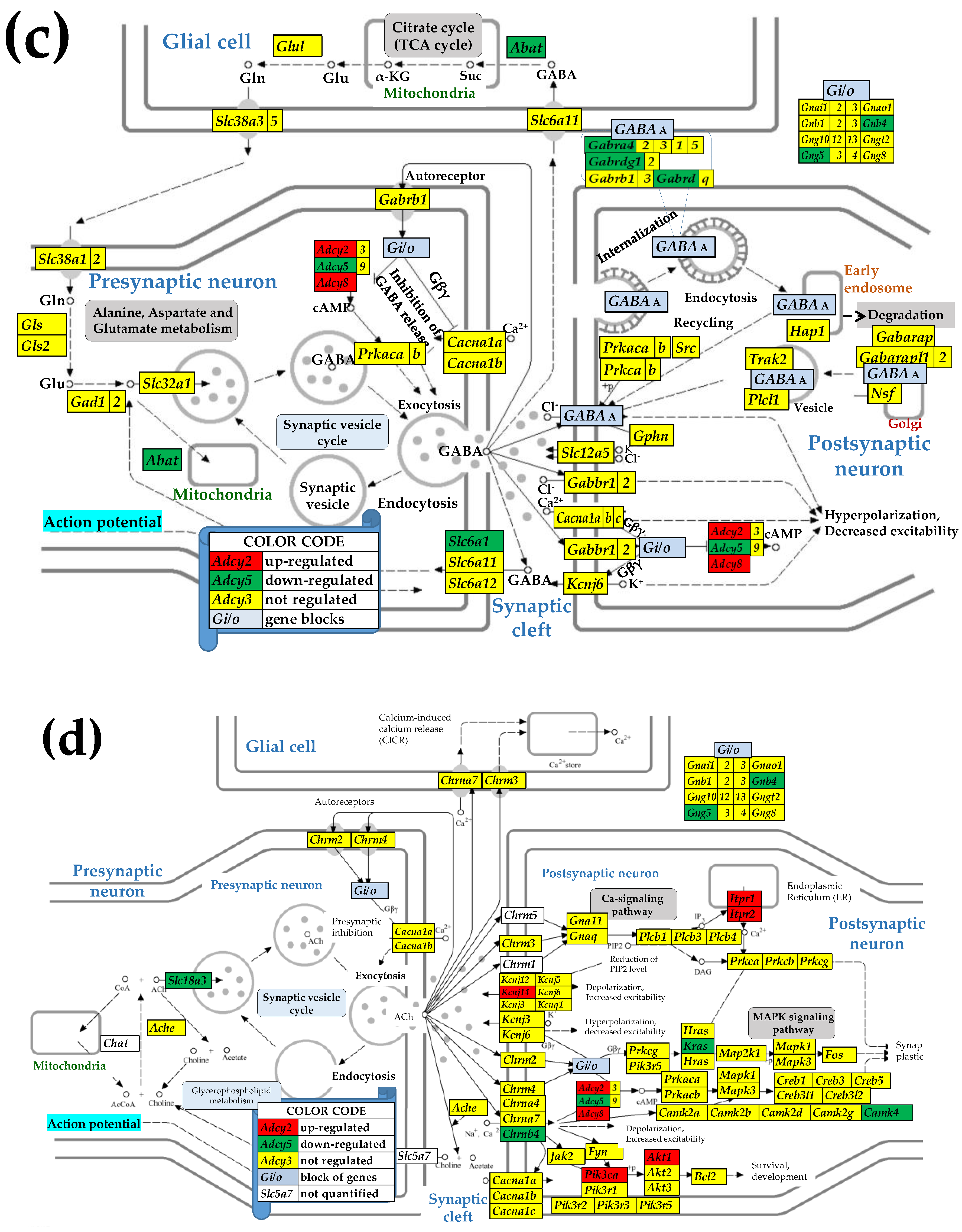 Preprints 153631 g002b