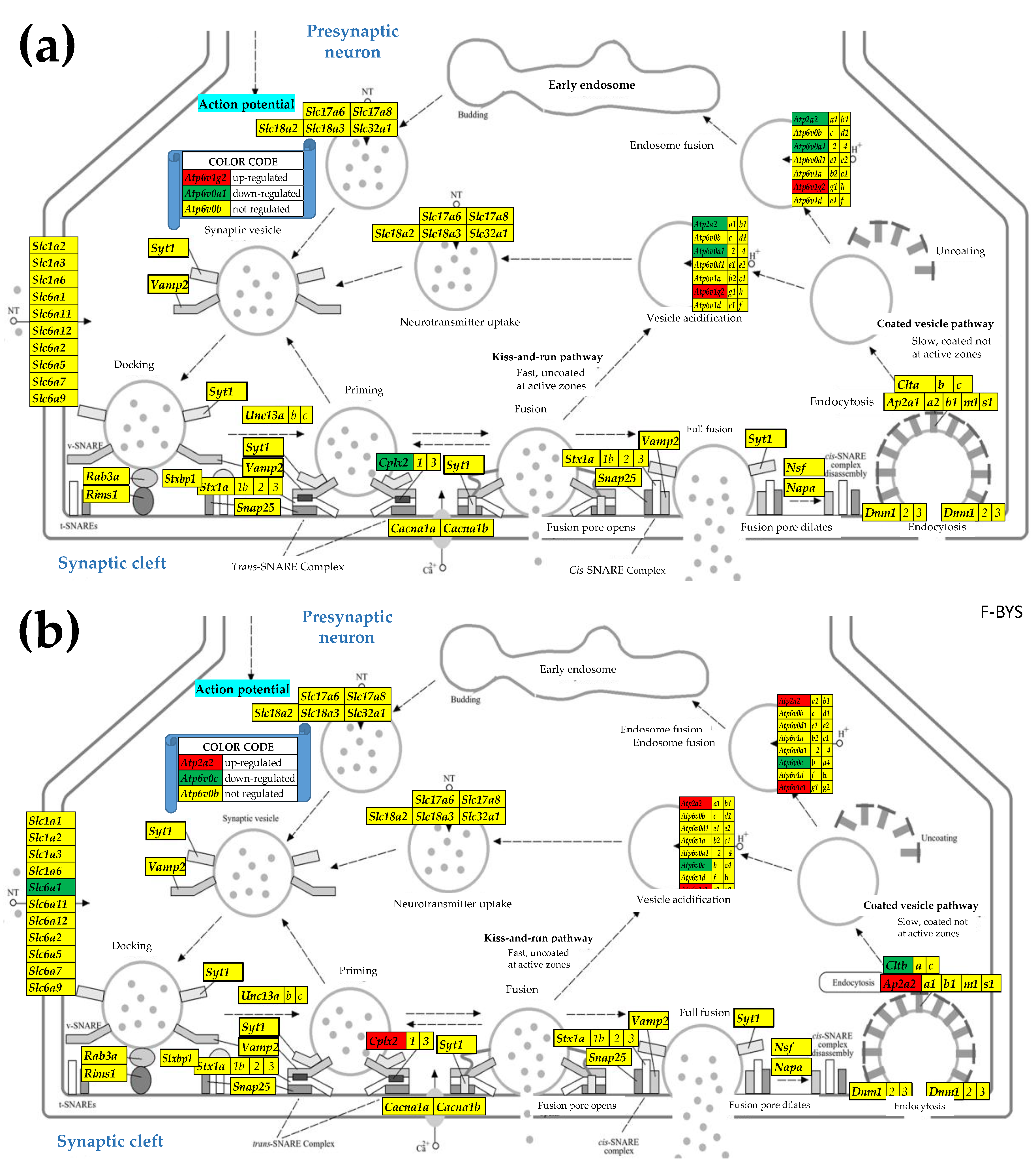 Preprints 153631 g003