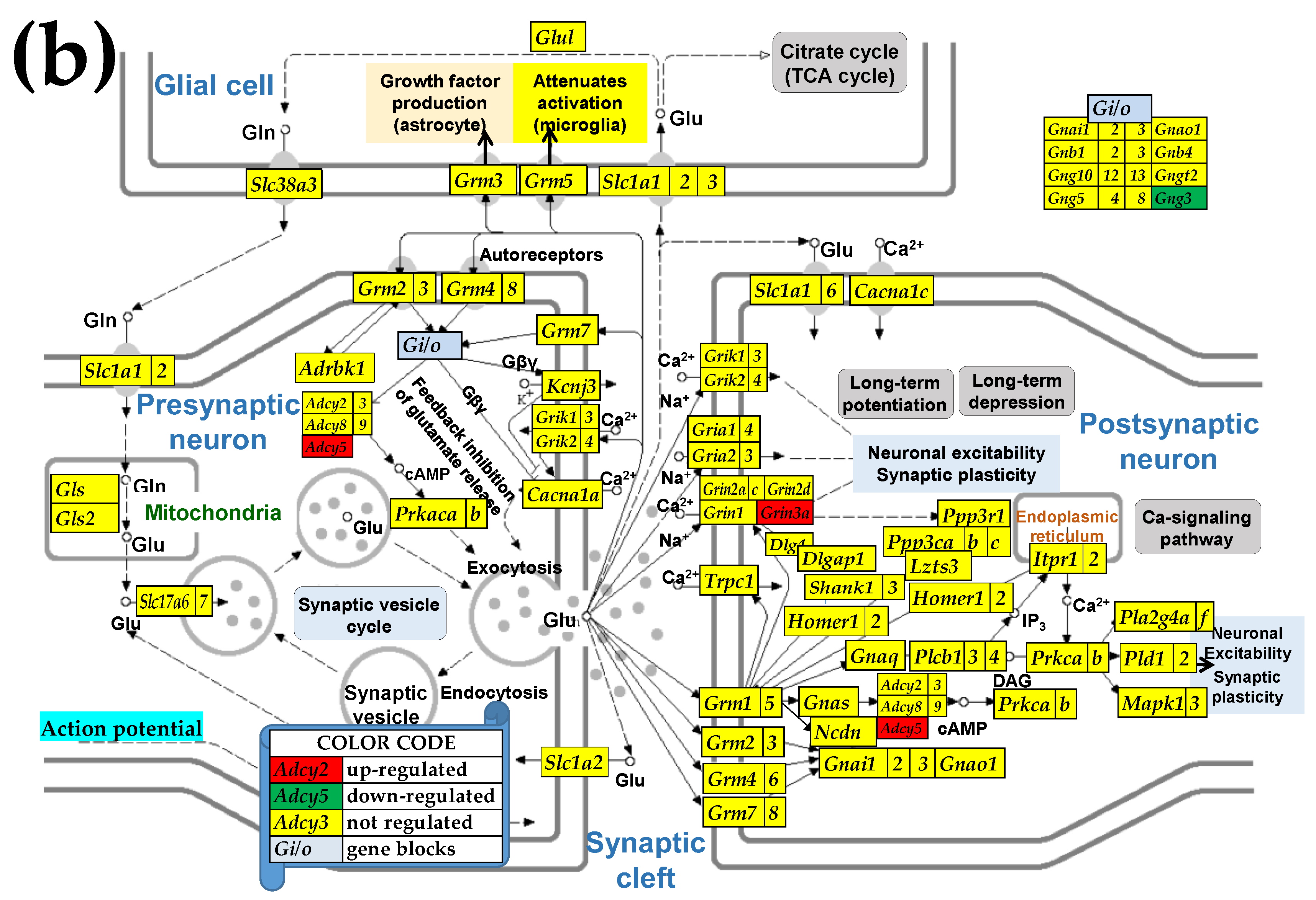 Preprints 153631 g004b