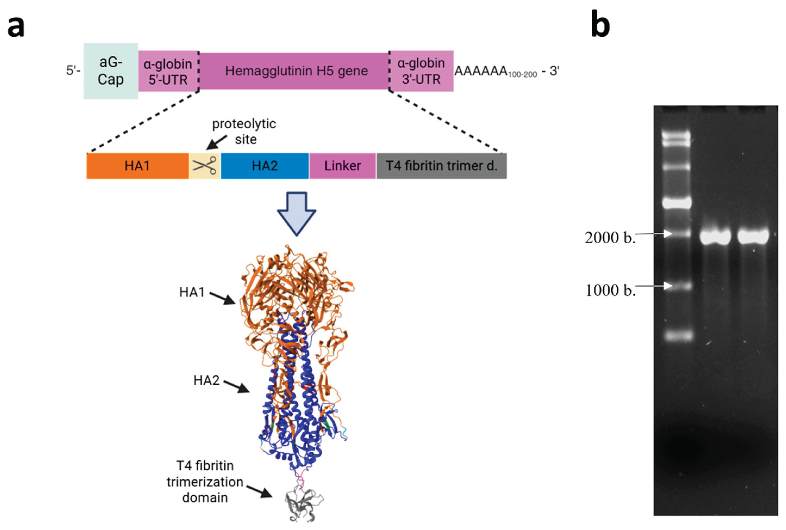 Preprints 166063 g001