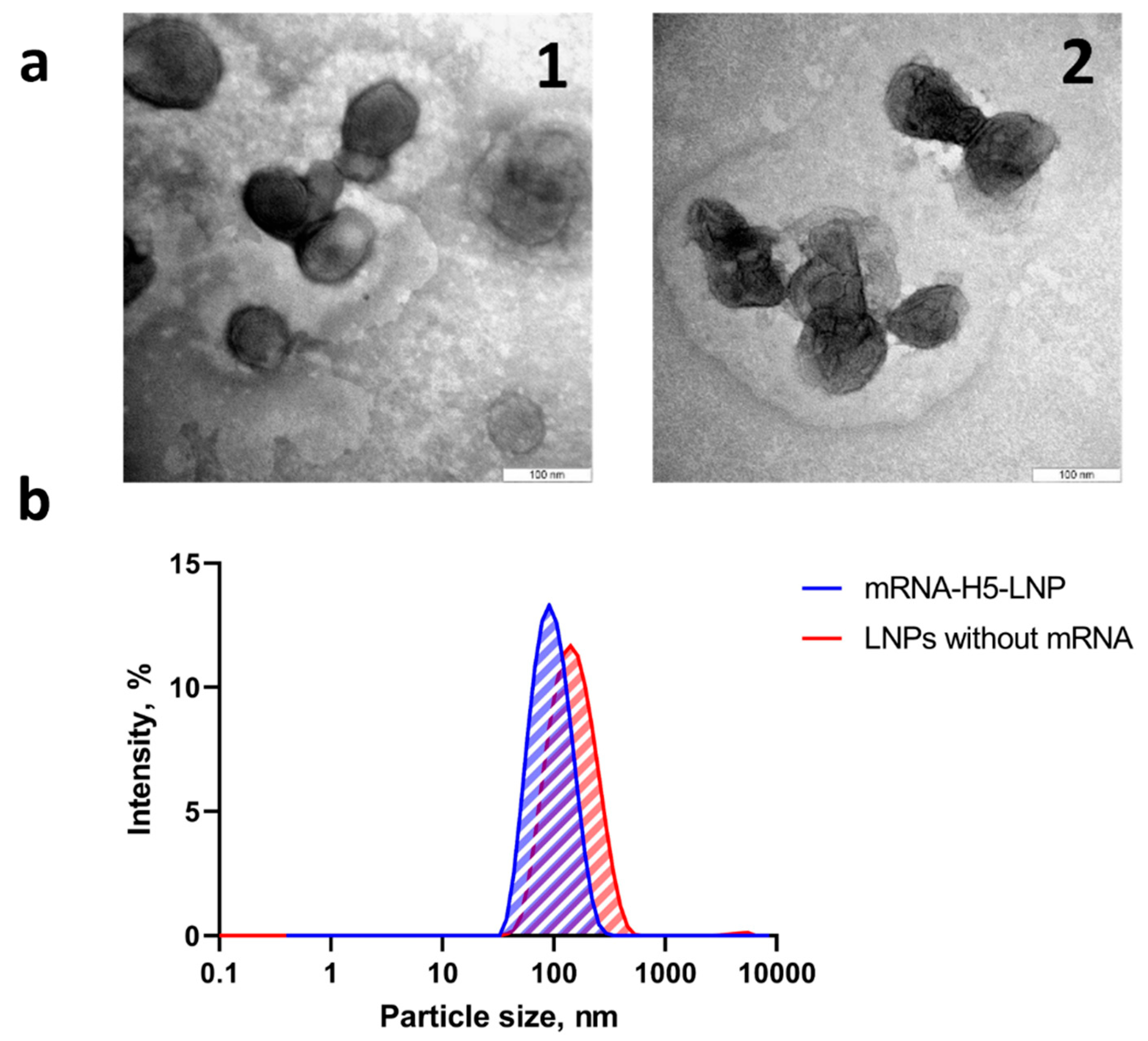Preprints 166063 g002