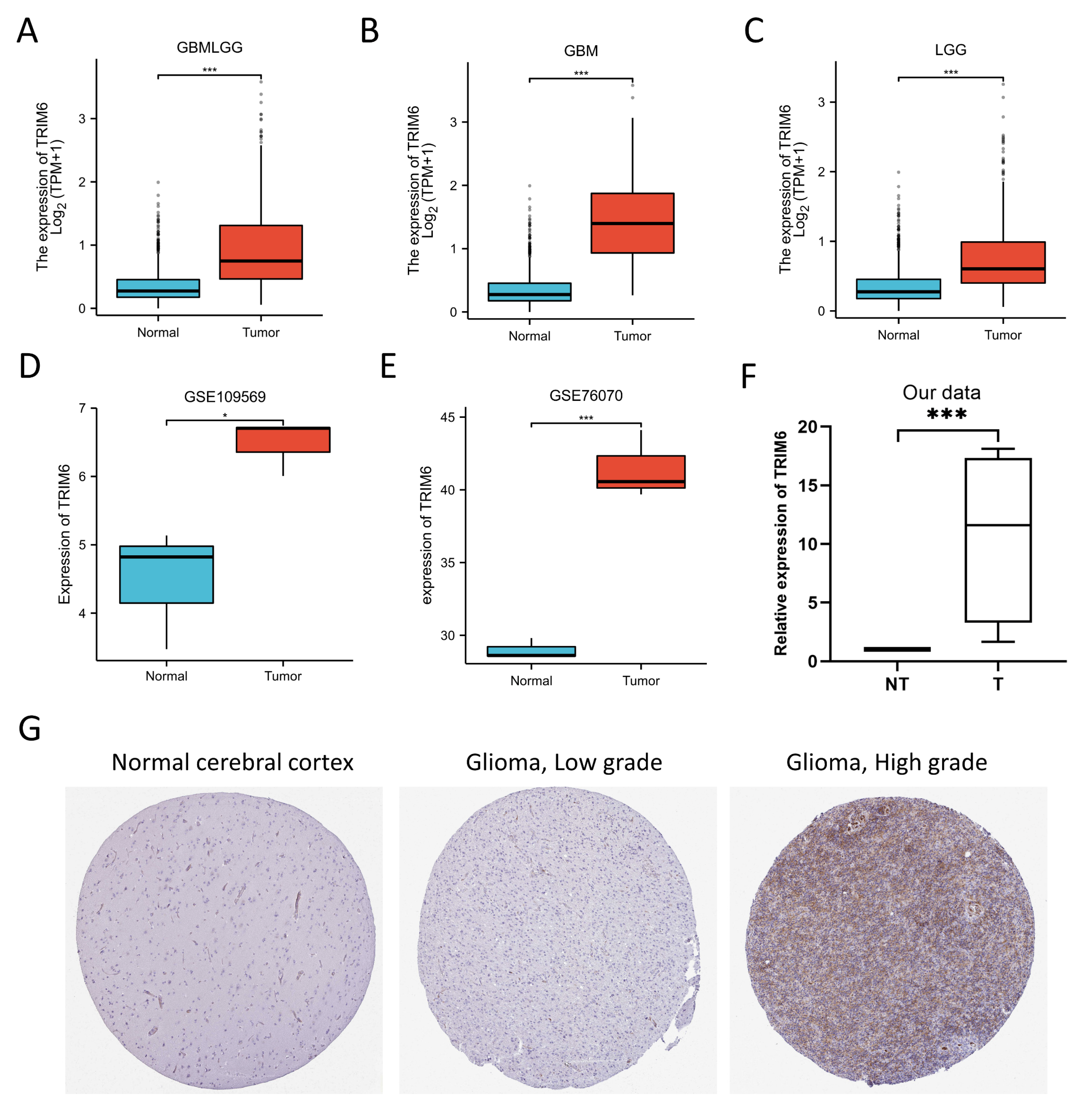 Preprints 81563 g001