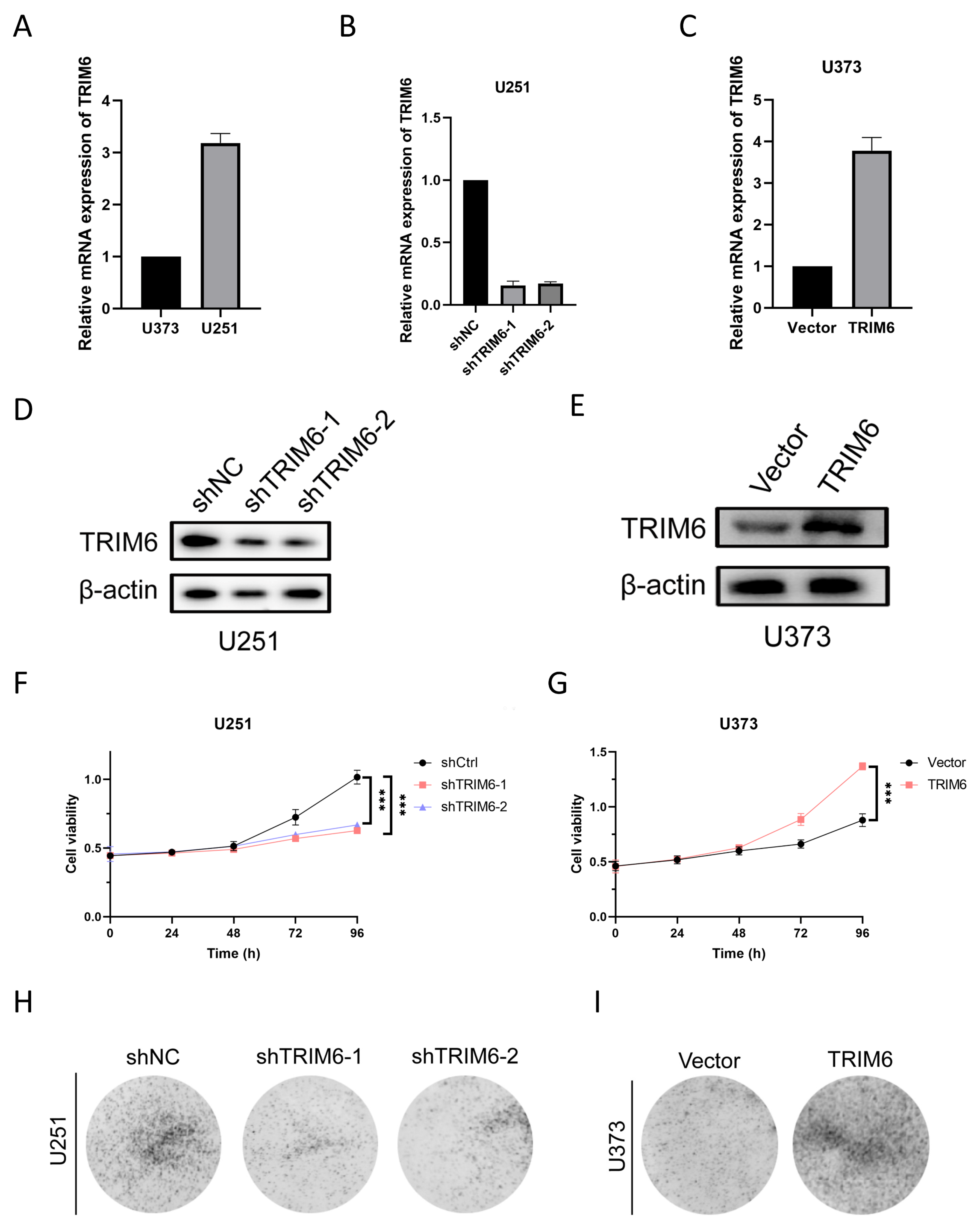 Preprints 81563 g009
