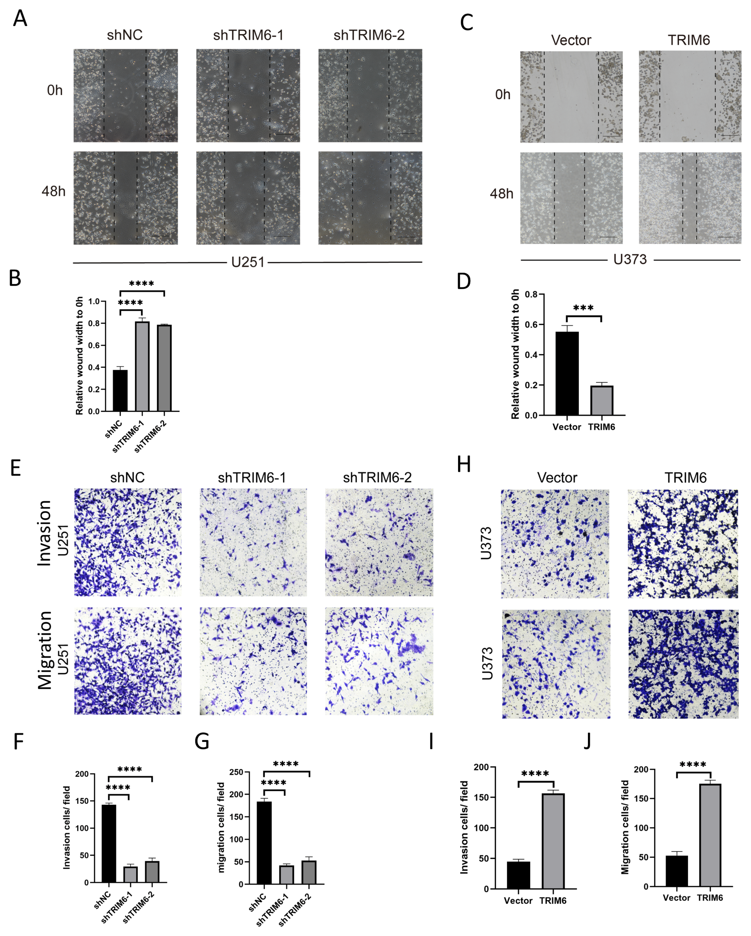 Preprints 81563 g010