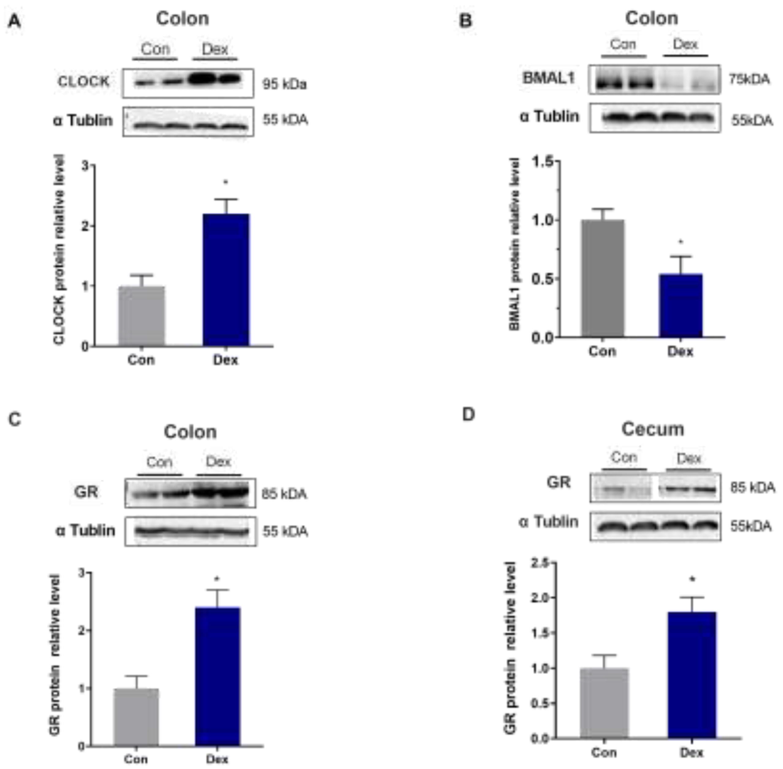 Preprints 141338 g005