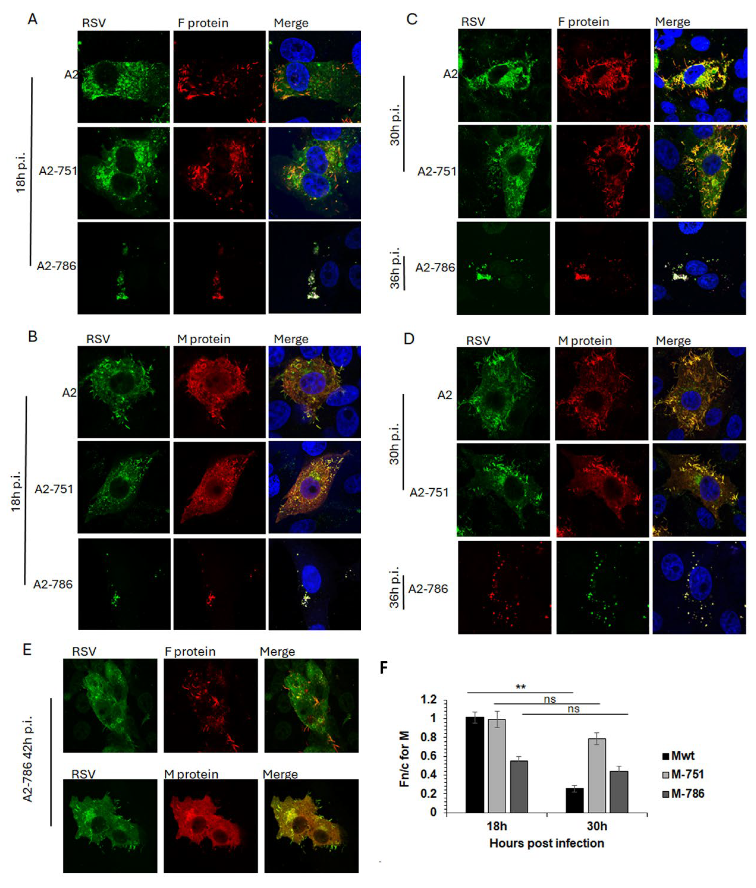 Preprints 121385 g004