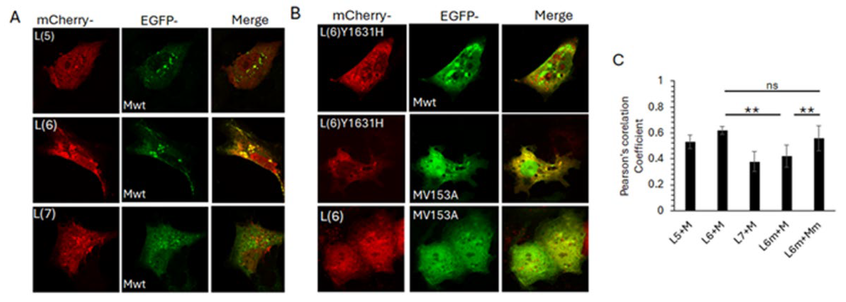 Preprints 121385 g006