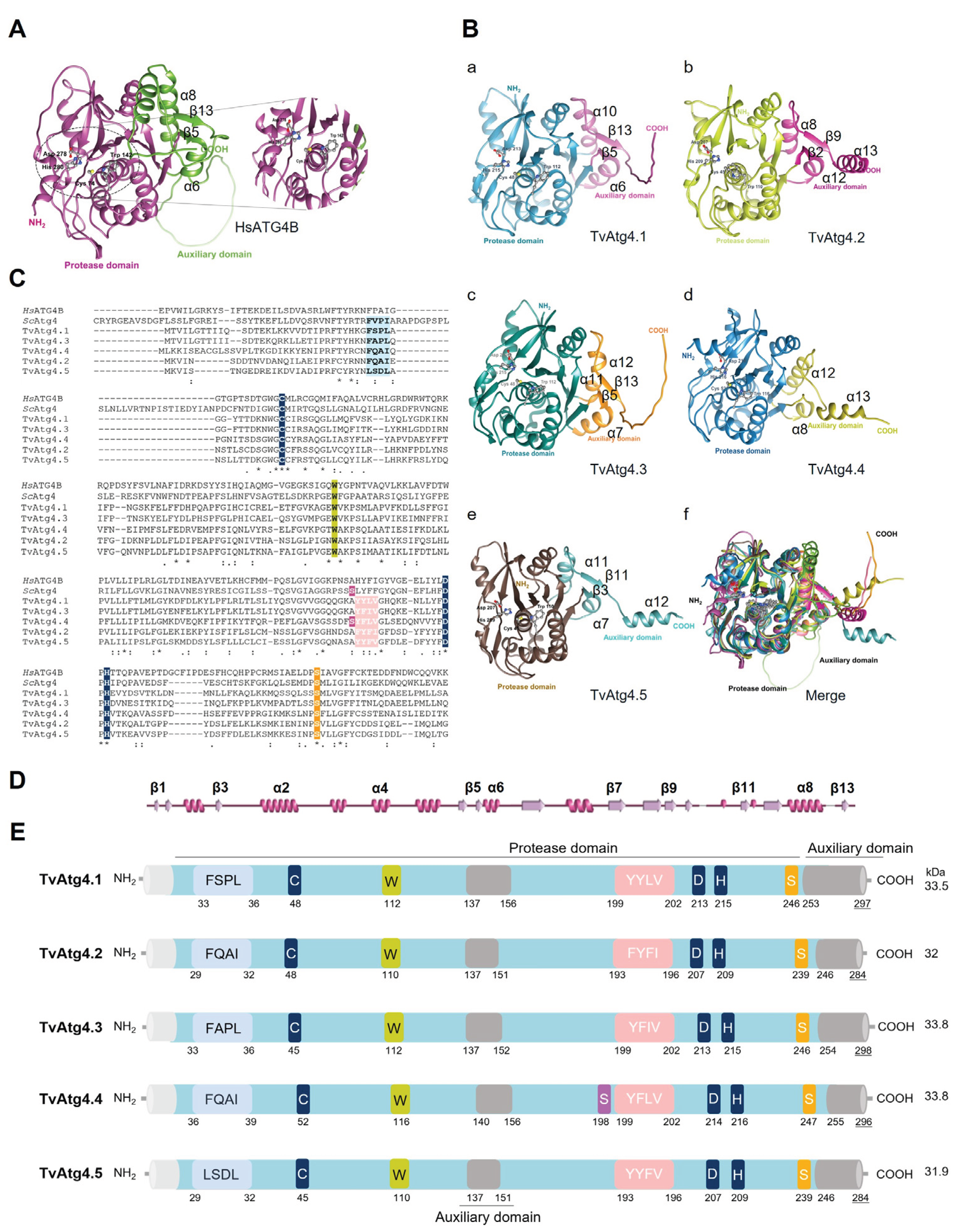 Preprints 186827 g001