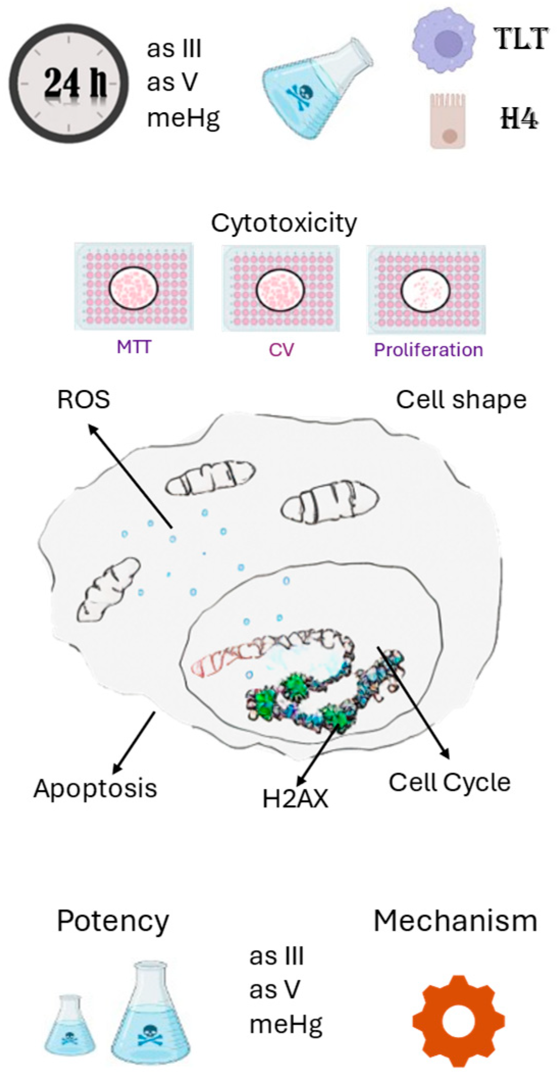 Preprints 141829 g001