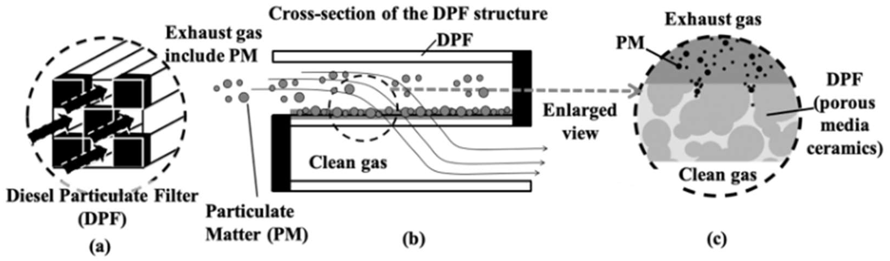 Preprints 146626 g001