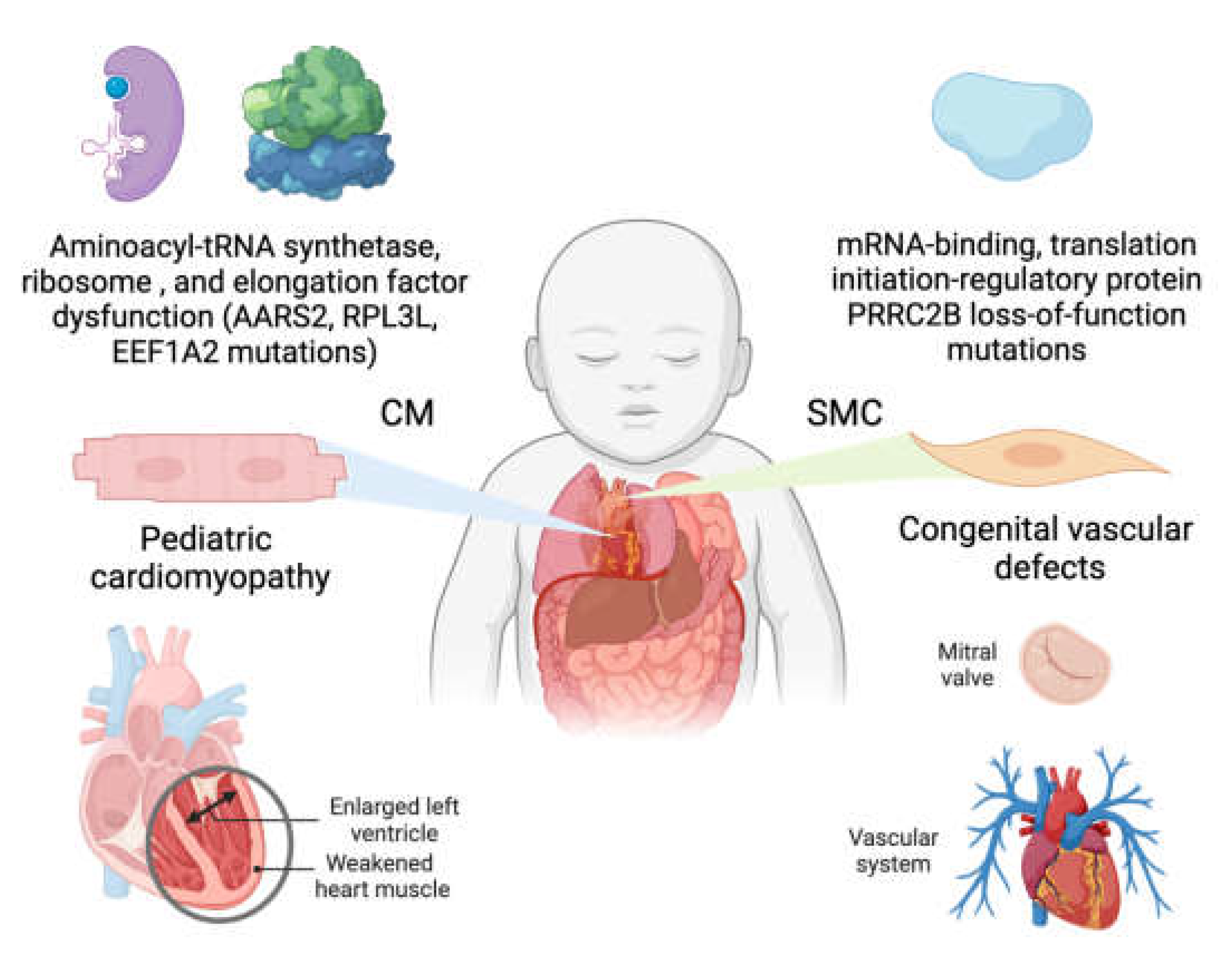 Preprints 165451 g002