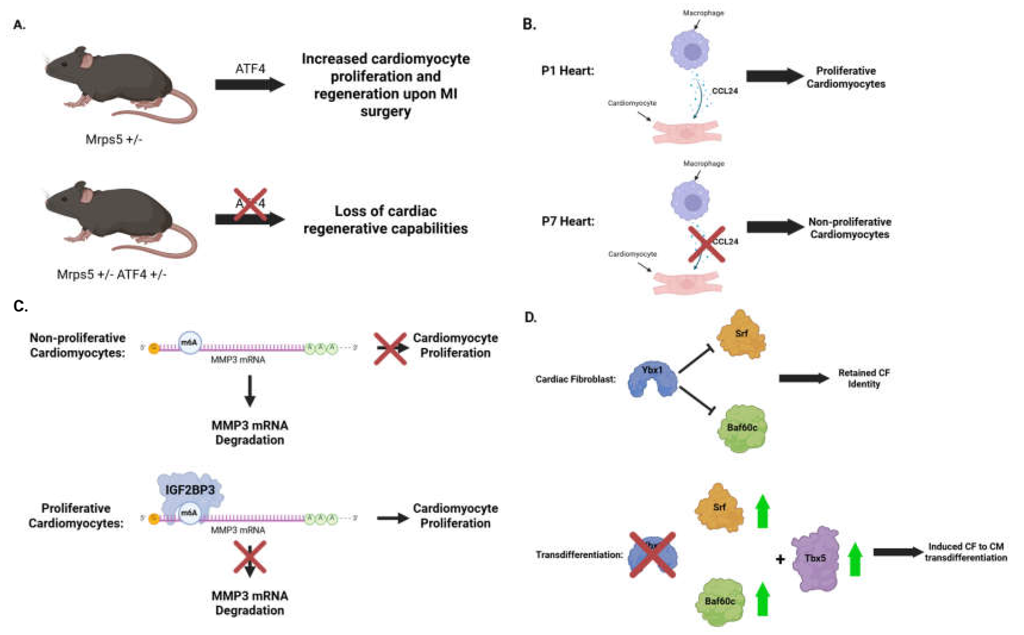 Preprints 165451 g005