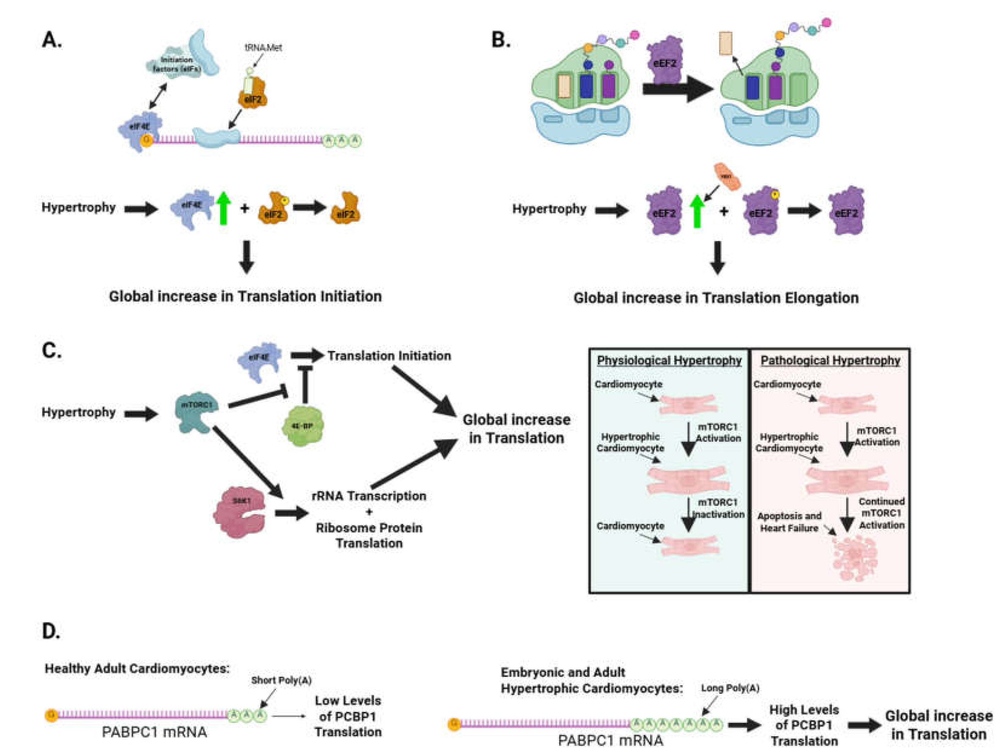Preprints 165451 g006