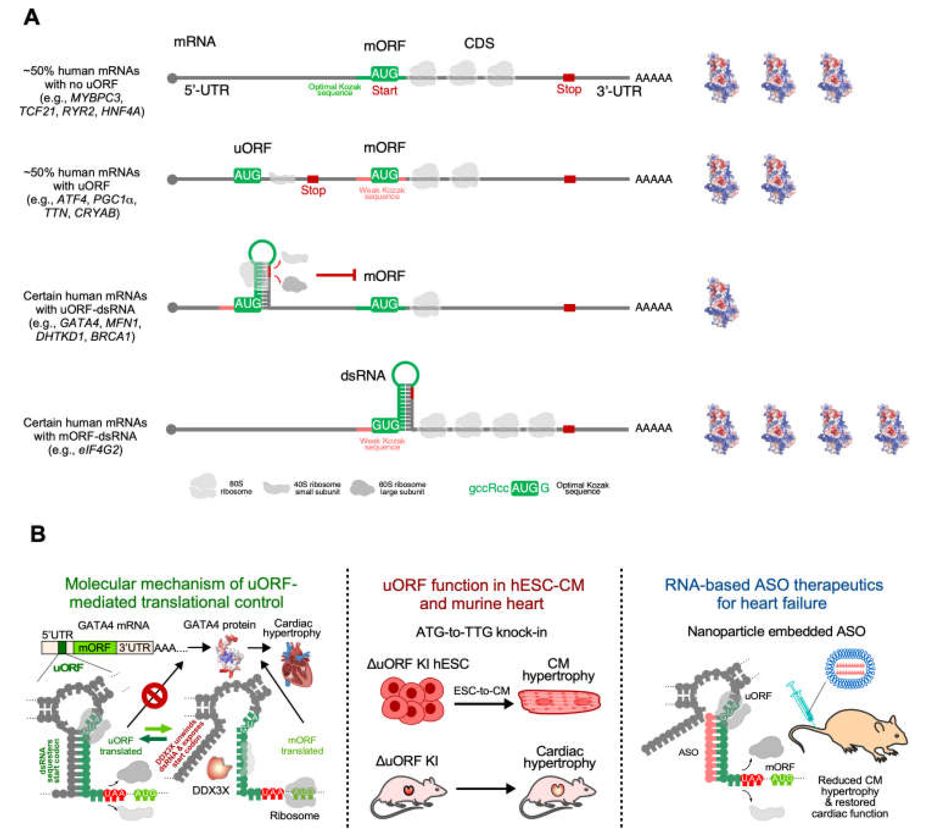 Preprints 165451 g008