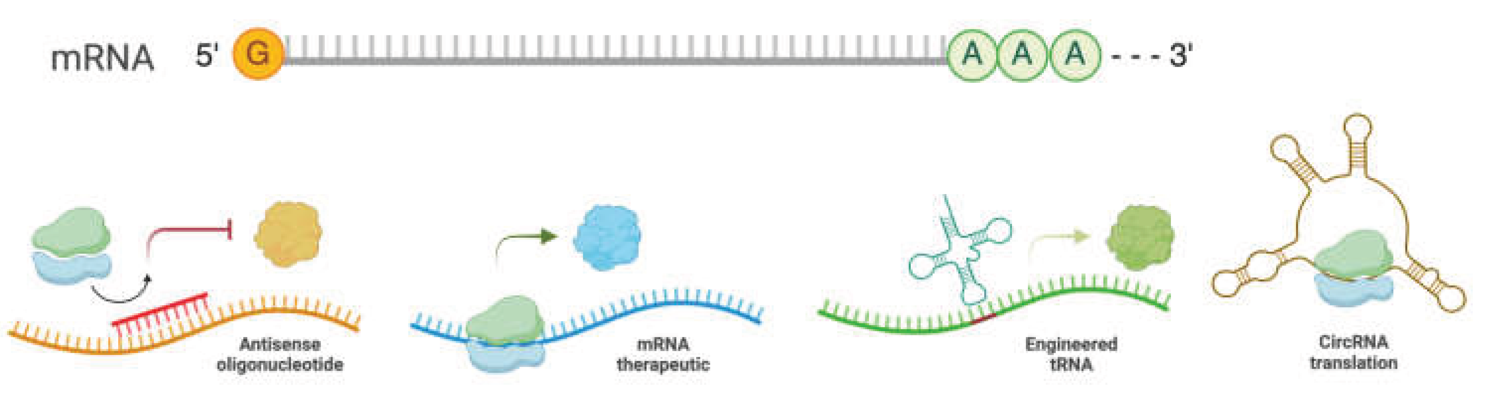 Preprints 165451 g009