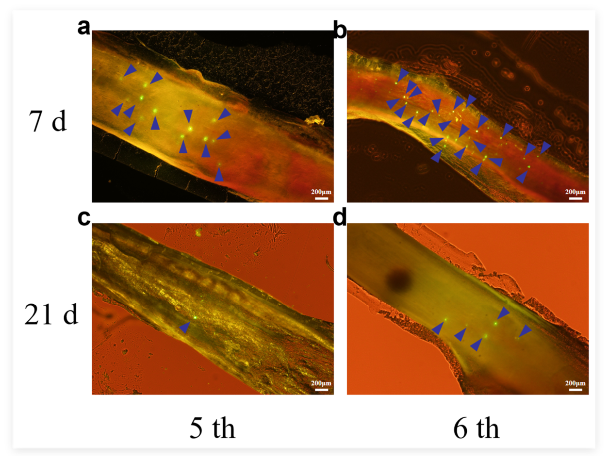 Preprints 227025 g001 Preprints 227025 g001