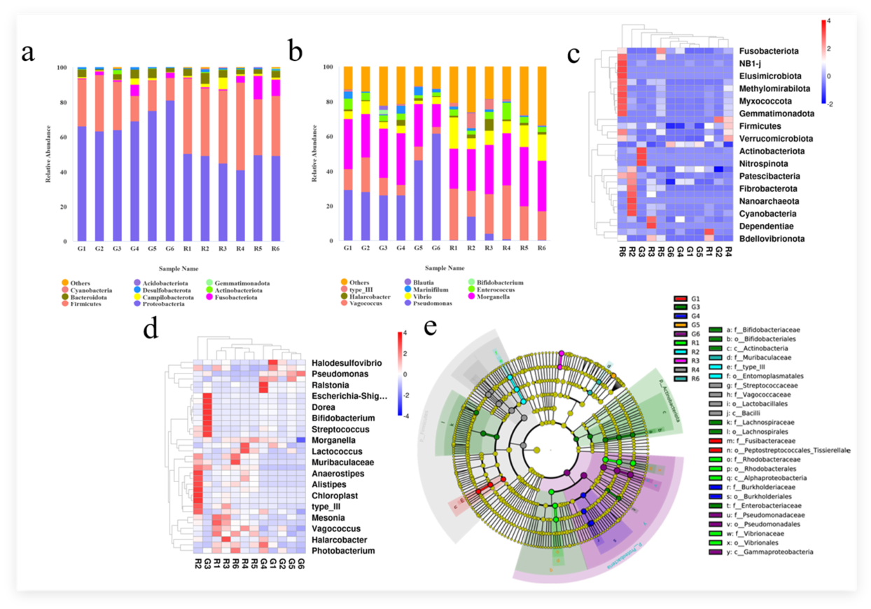 Preprints 227025 g005 Preprints 227025 g005