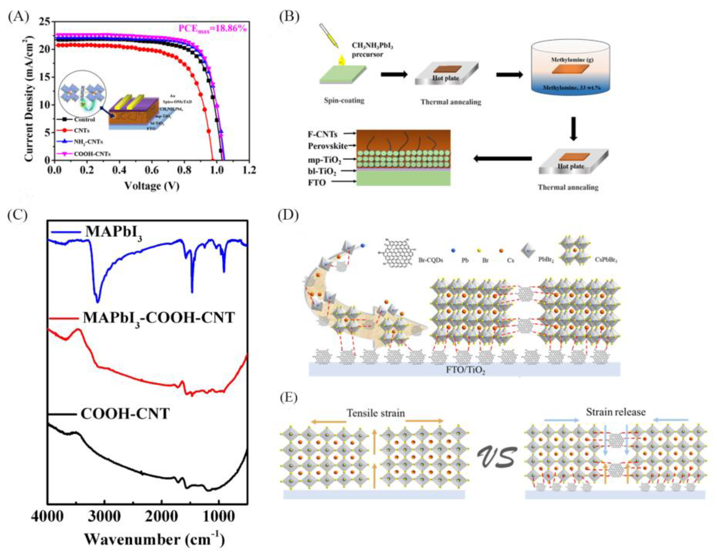 Preprints 209434 g006
