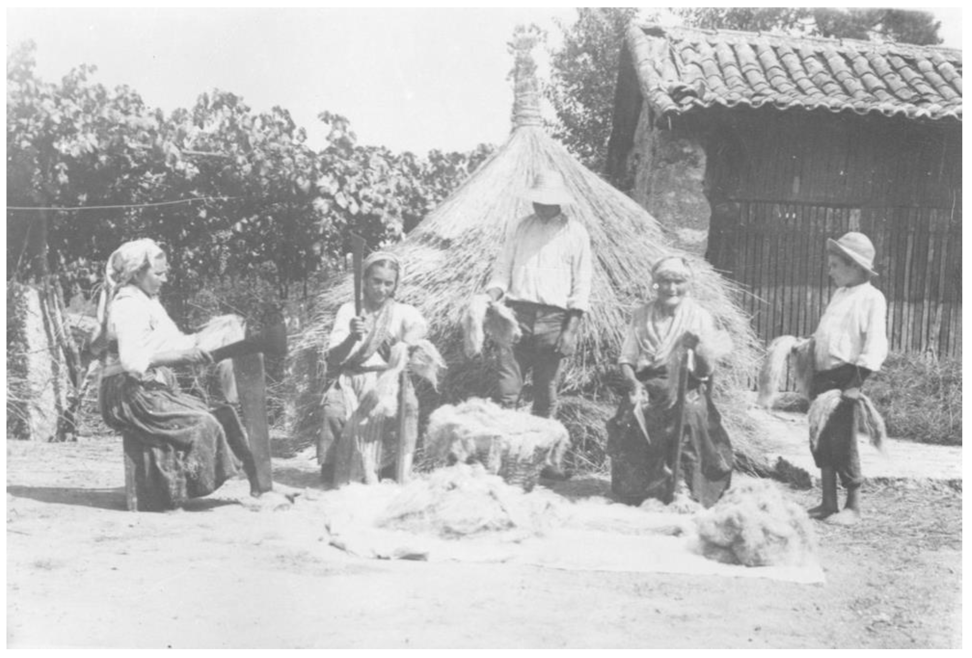 Preprints 208350 g003