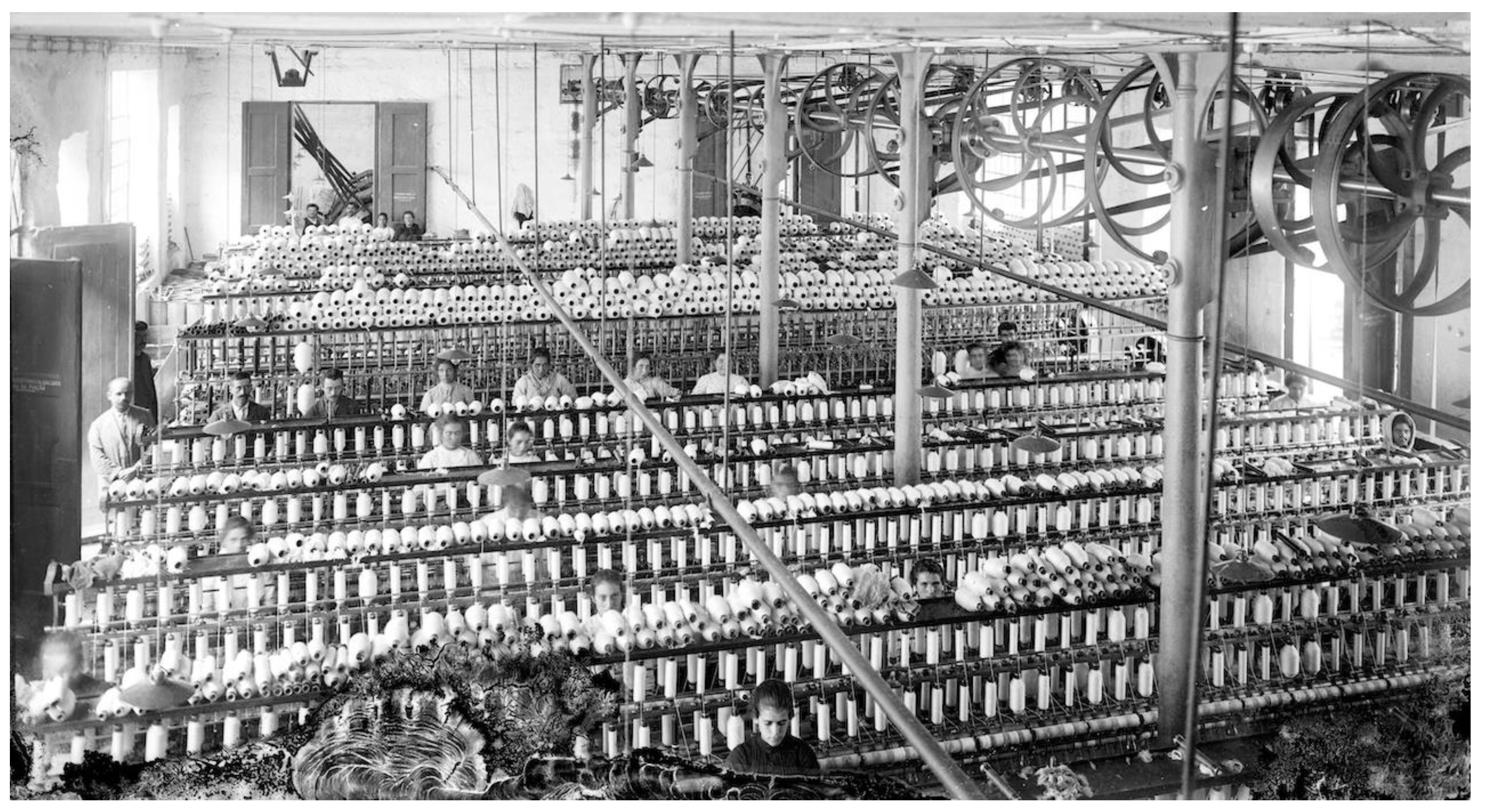 Preprints 208350 g004