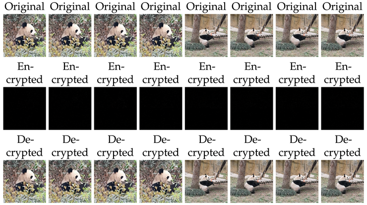 Preprints 146115 i001