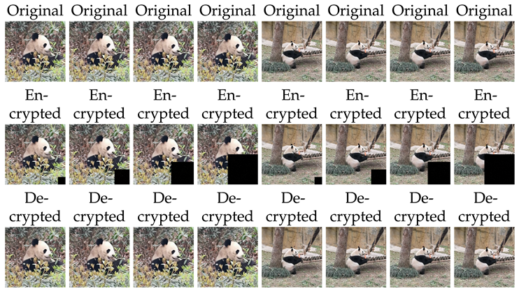 Preprints 146115 i002