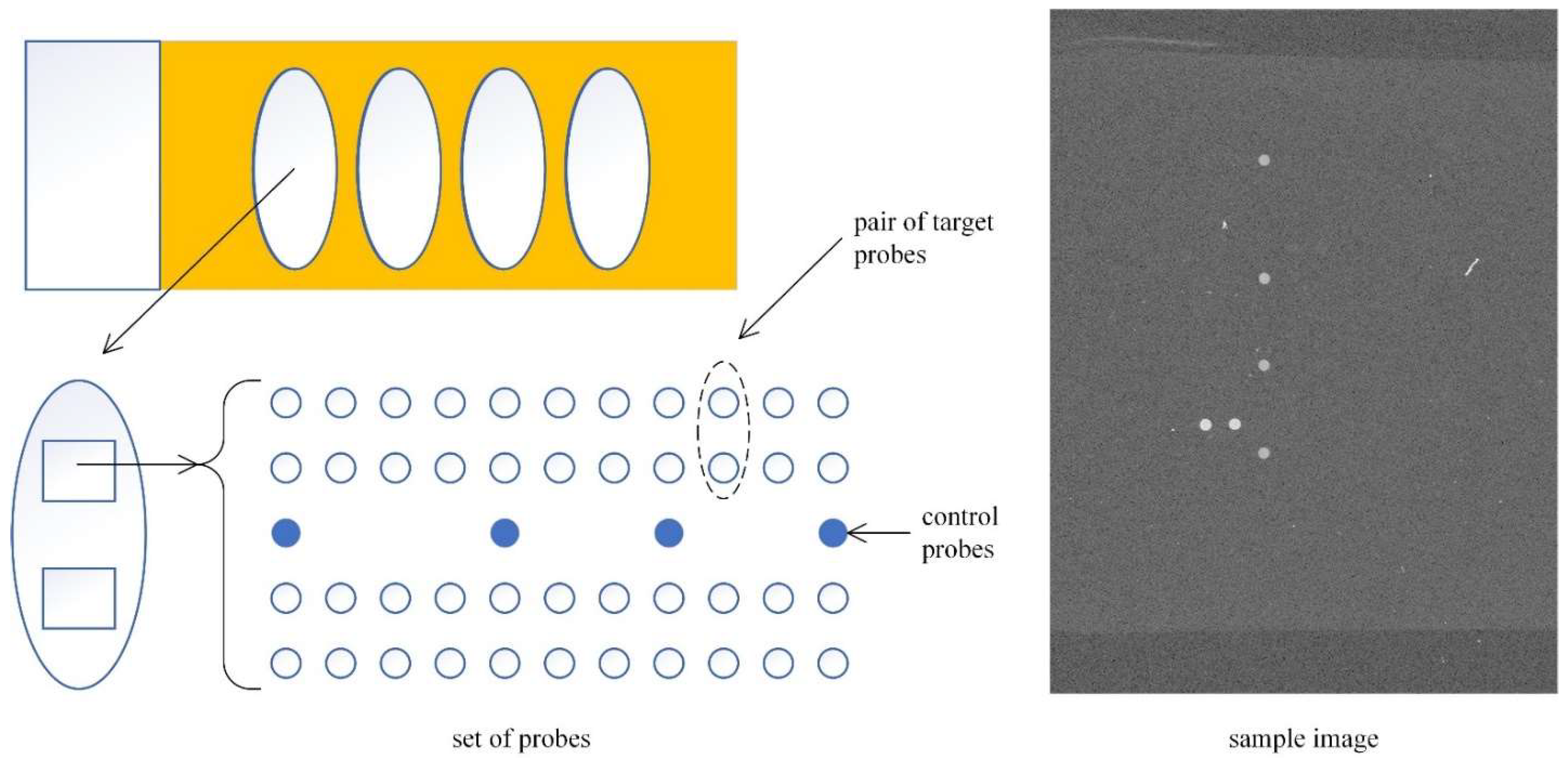 Preprints 151239 g001