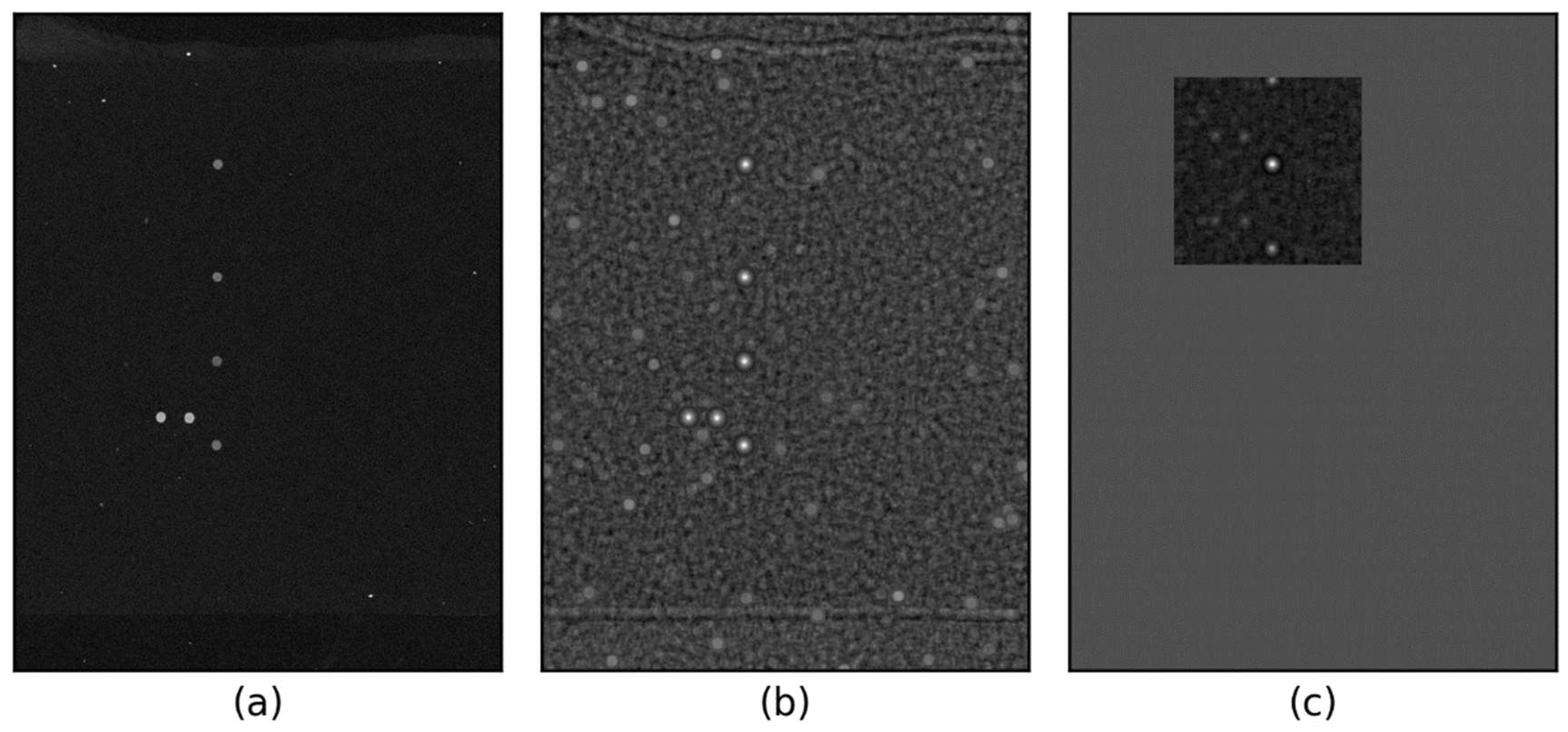 Preprints 151239 g003