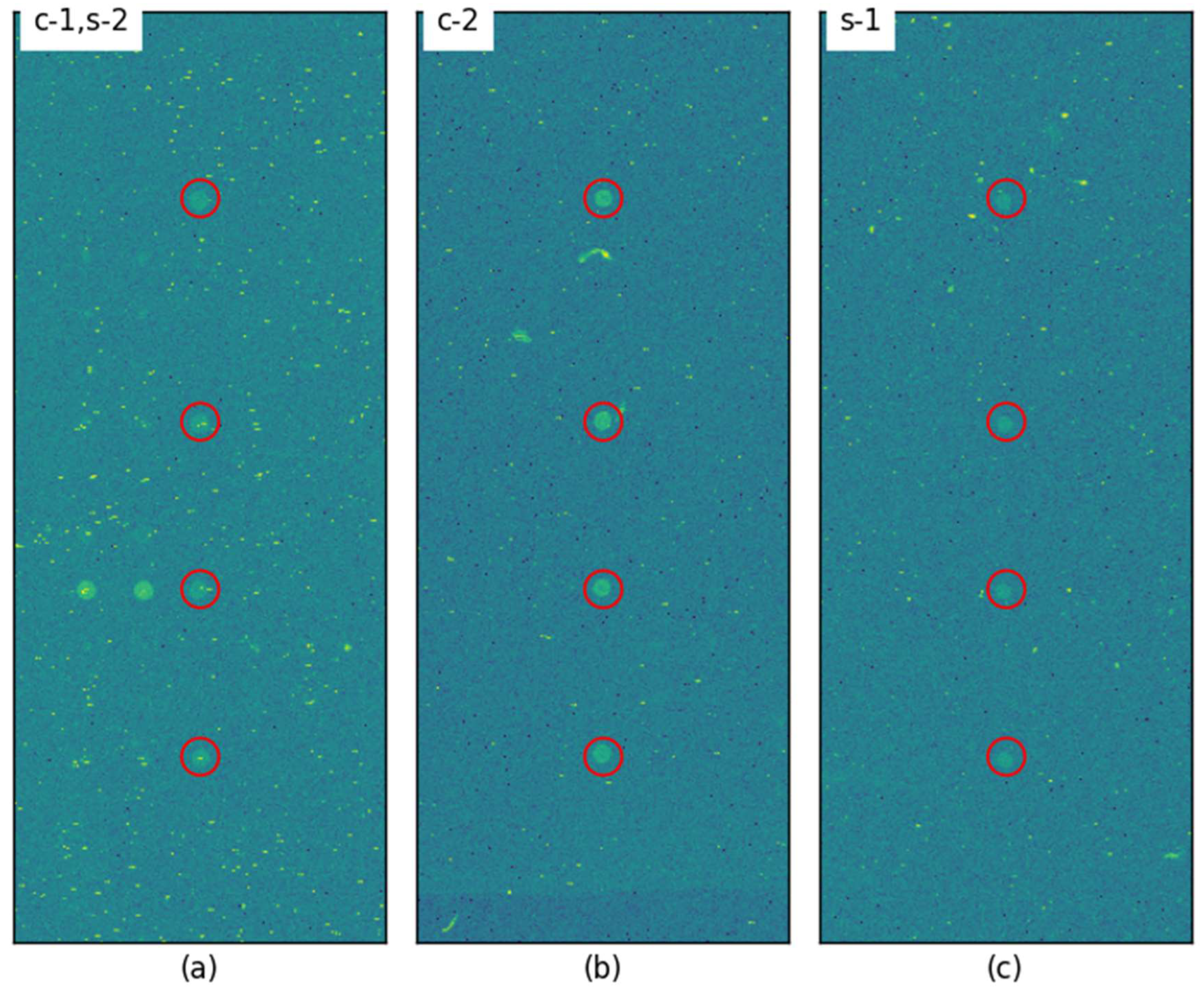Preprints 151239 g008
