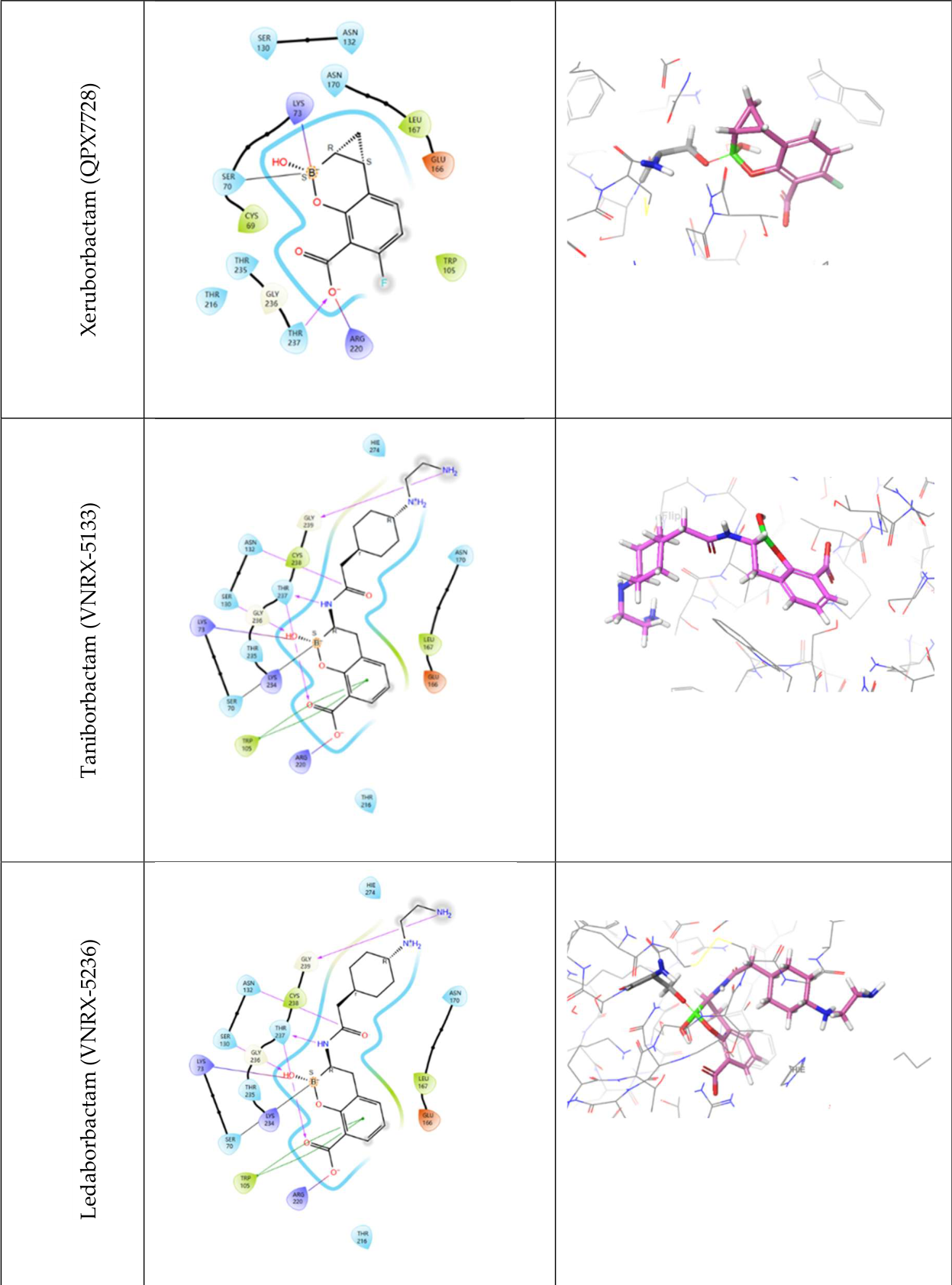 Preprints 236532 g002b