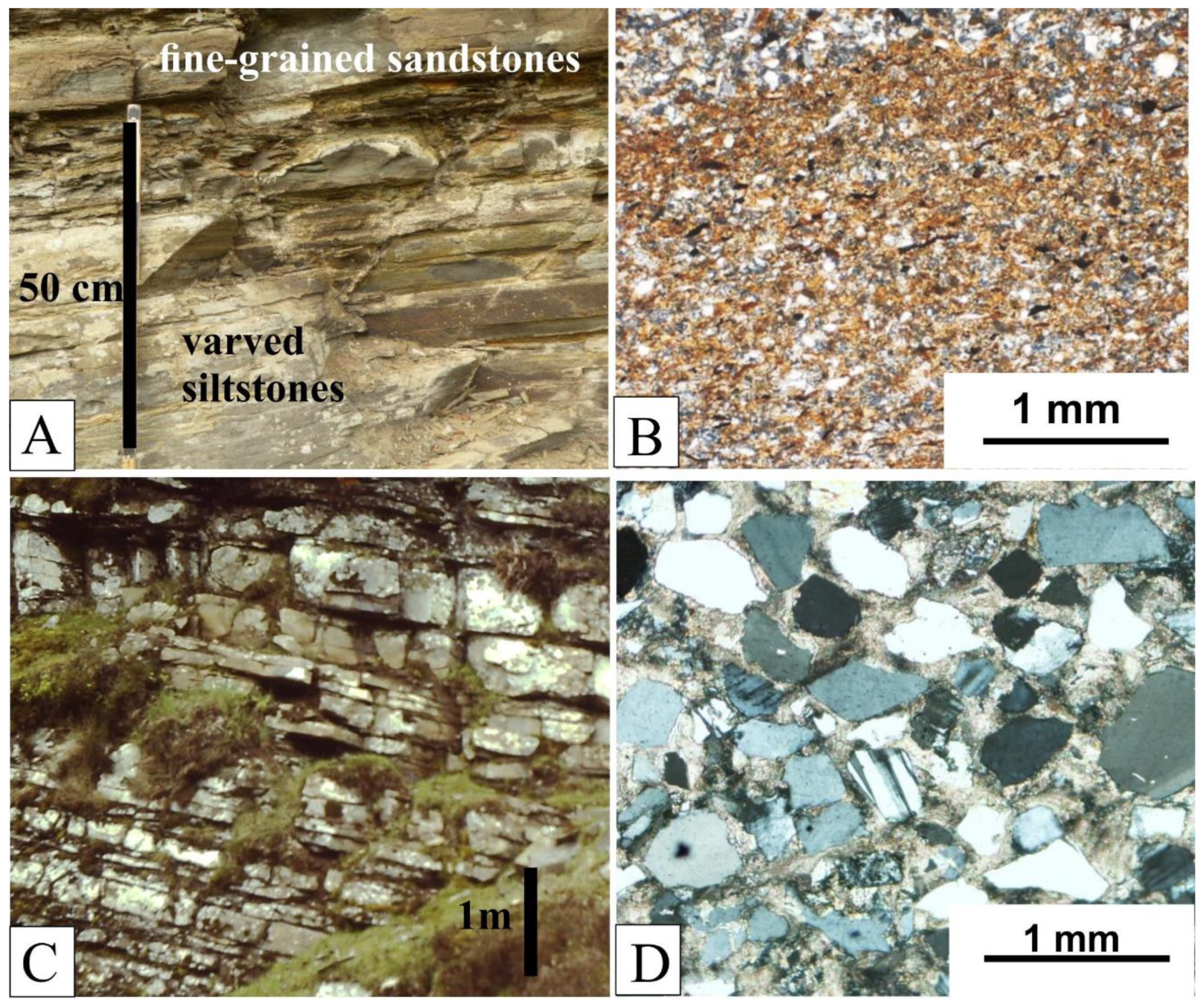 Preprints 94452 g008