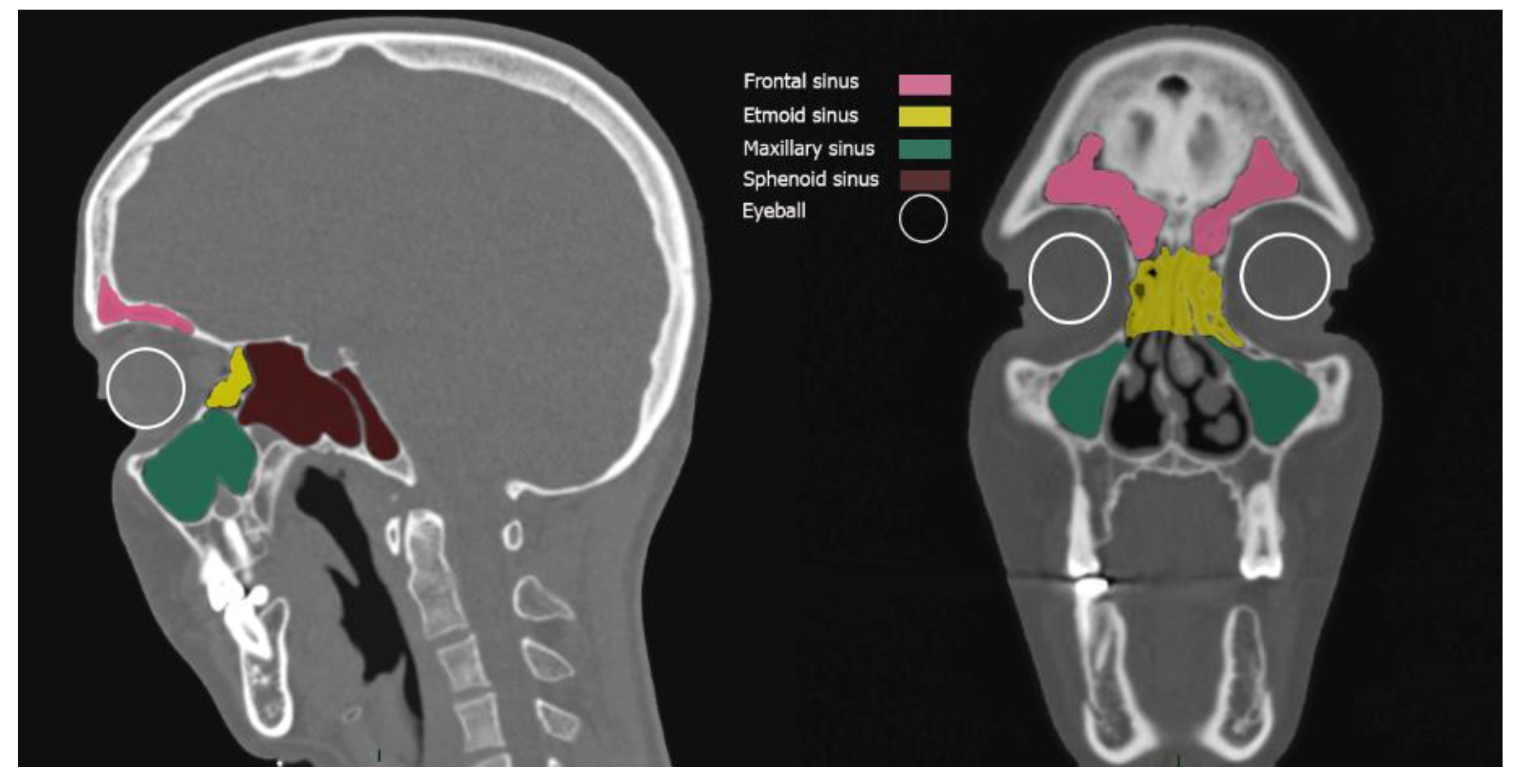 Preprints 206365 g001