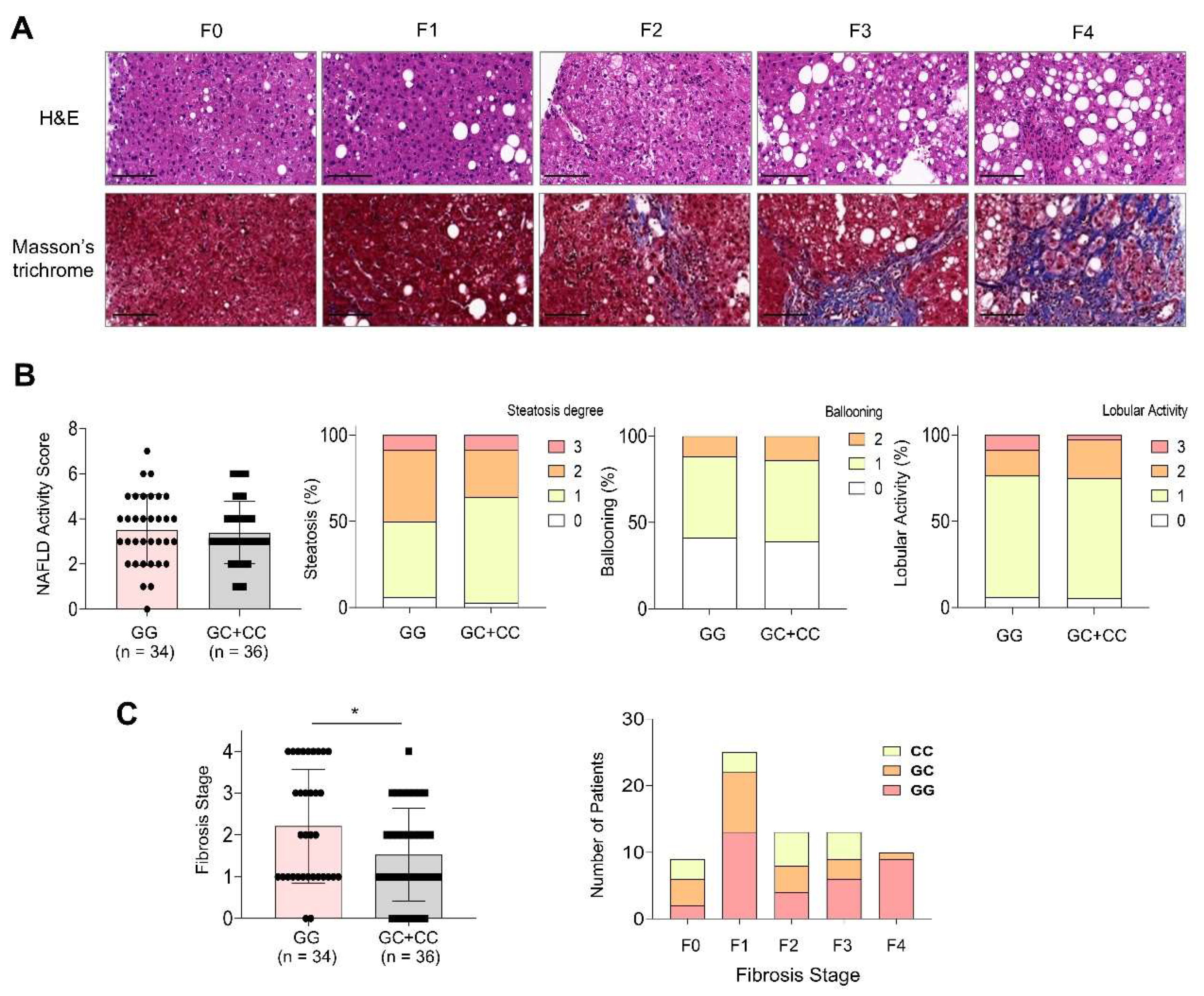 Preprints 160755 g001