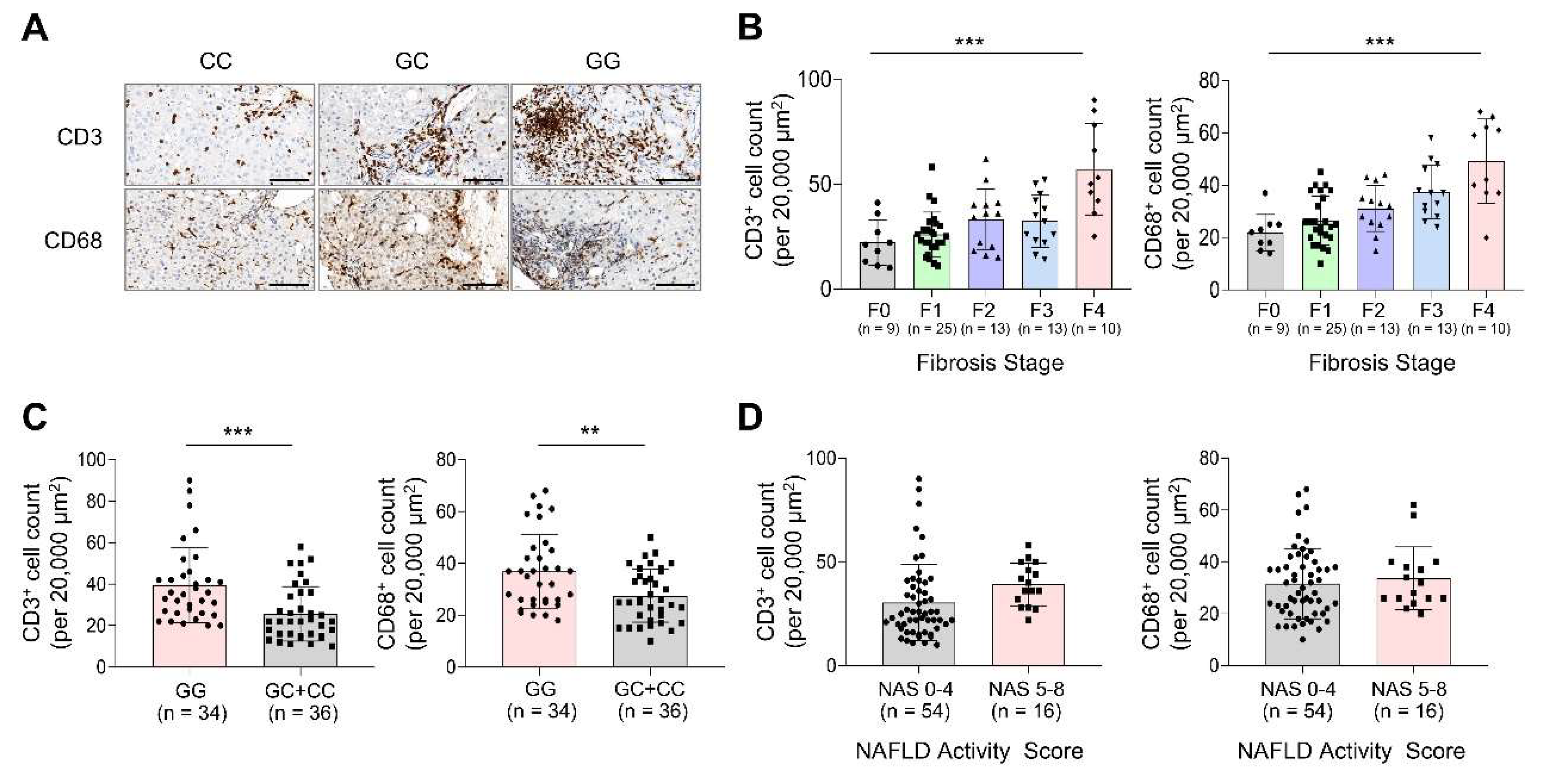 Preprints 160755 g002
