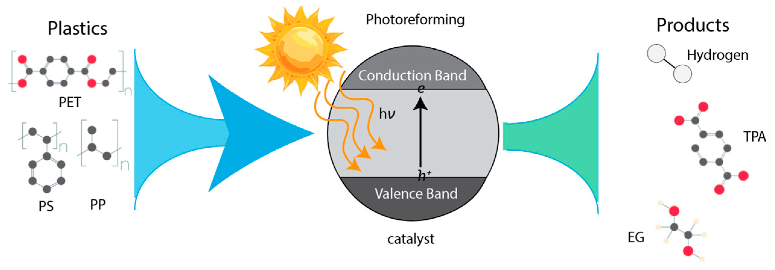 Preprints 156099 g003