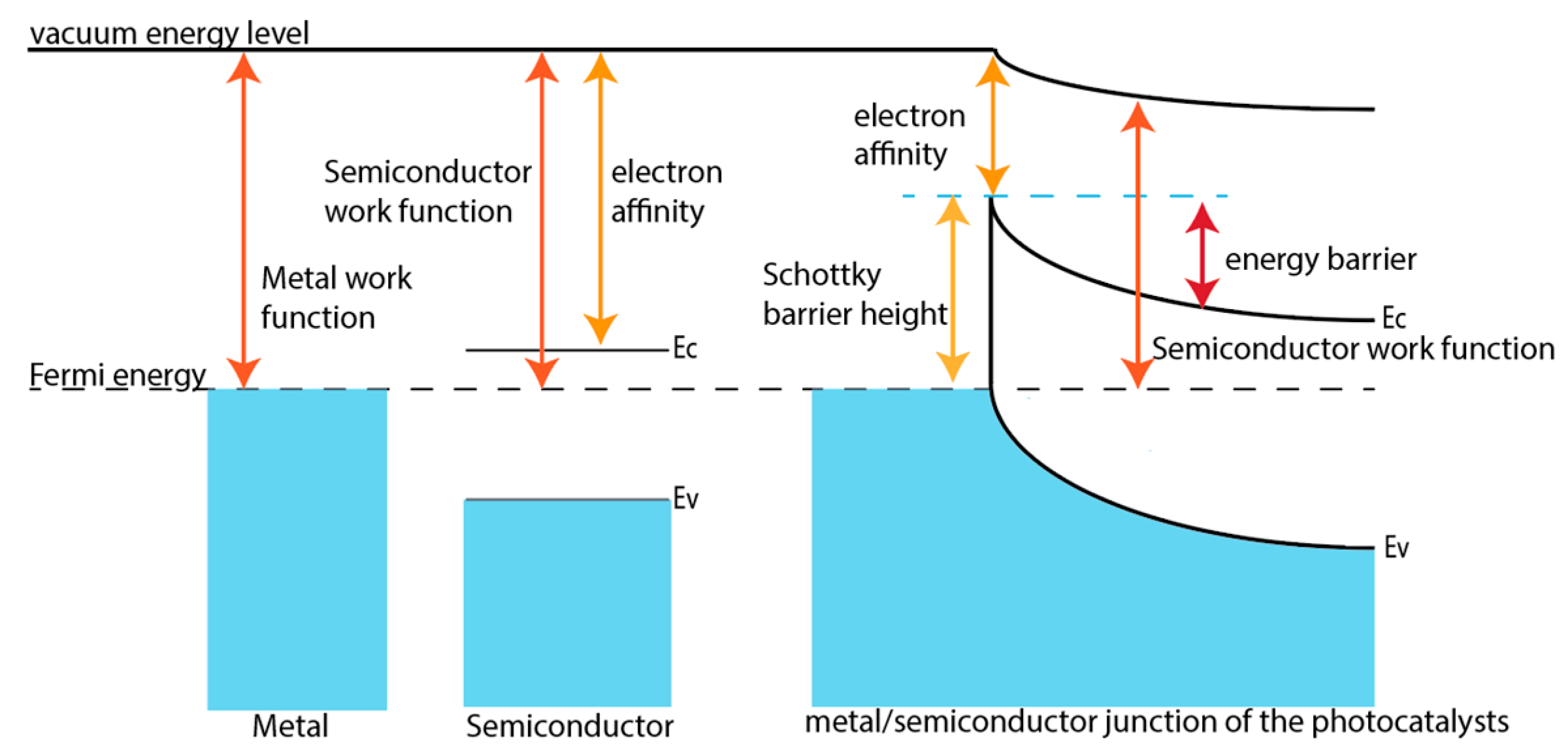 Preprints 156099 g005