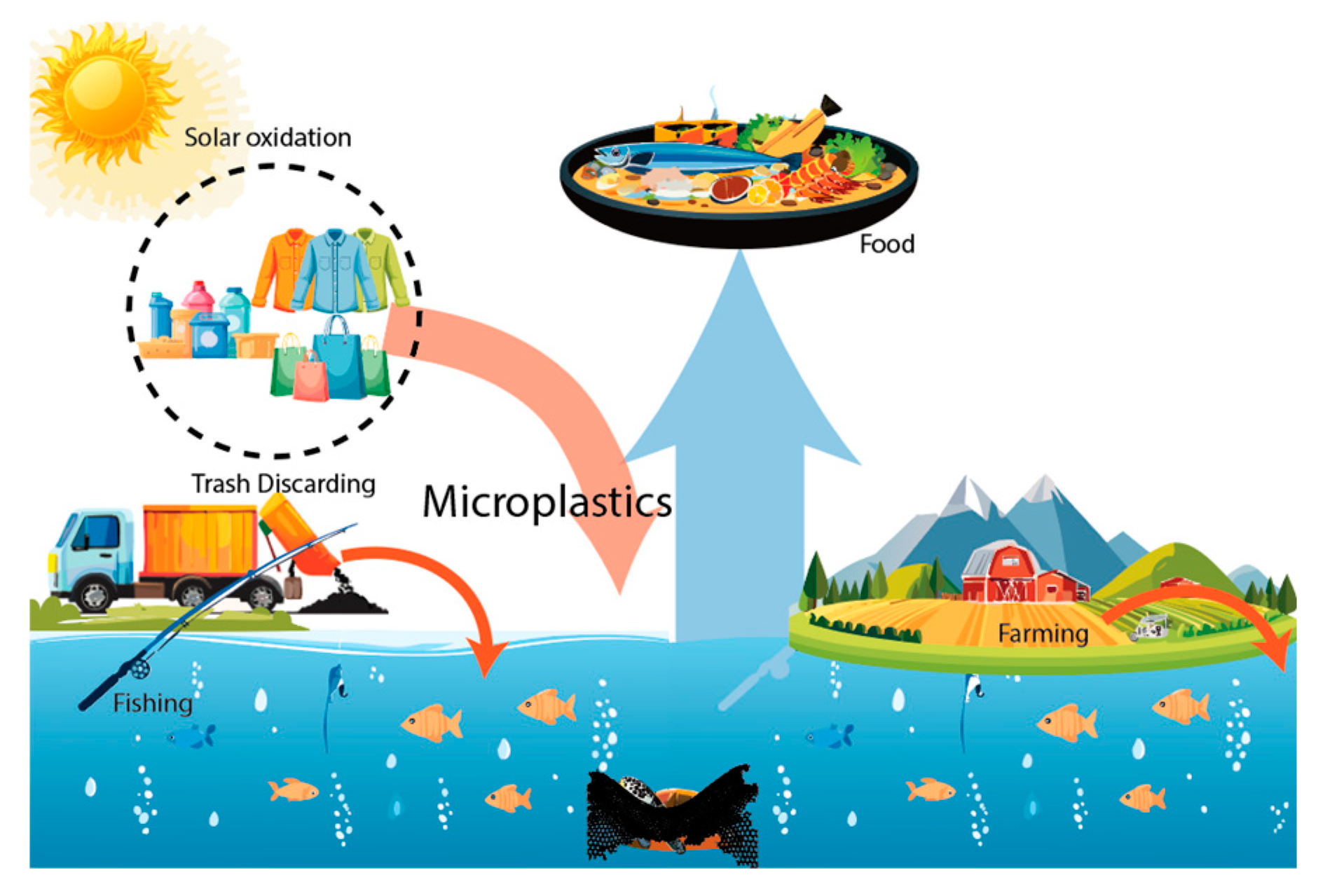 Preprints 156099 g008