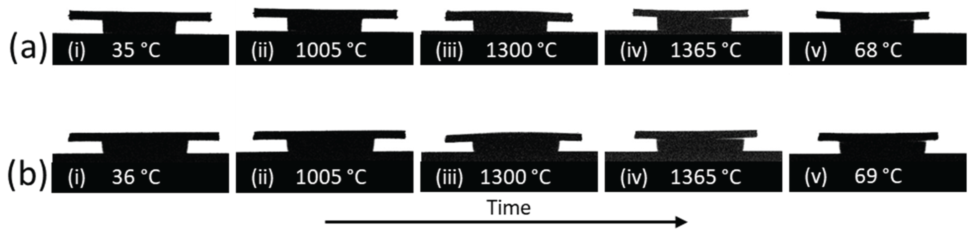 Preprints 187128 g013