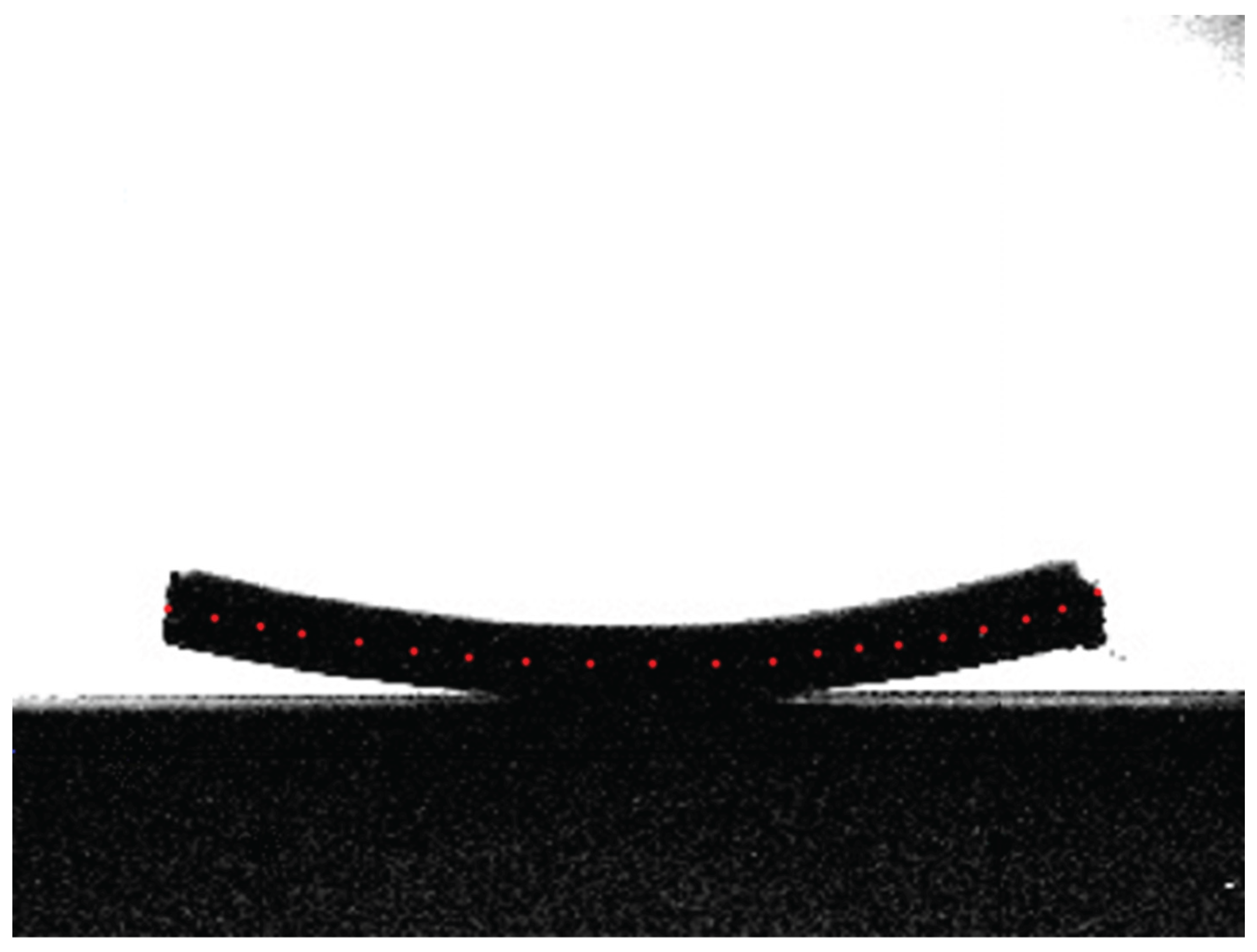 Preprints 187128 g0a4